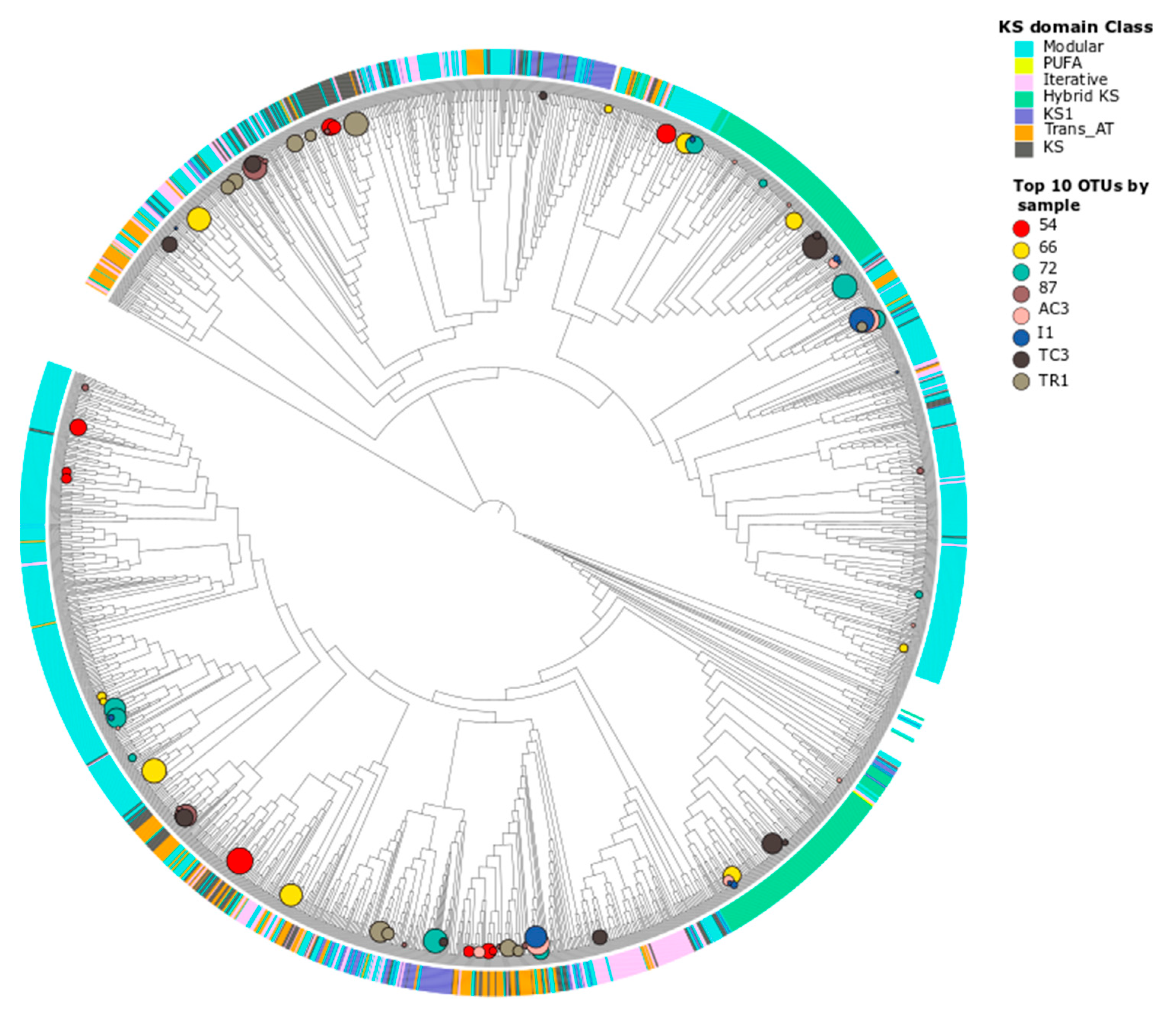 Microorganisms 08 00279 g005