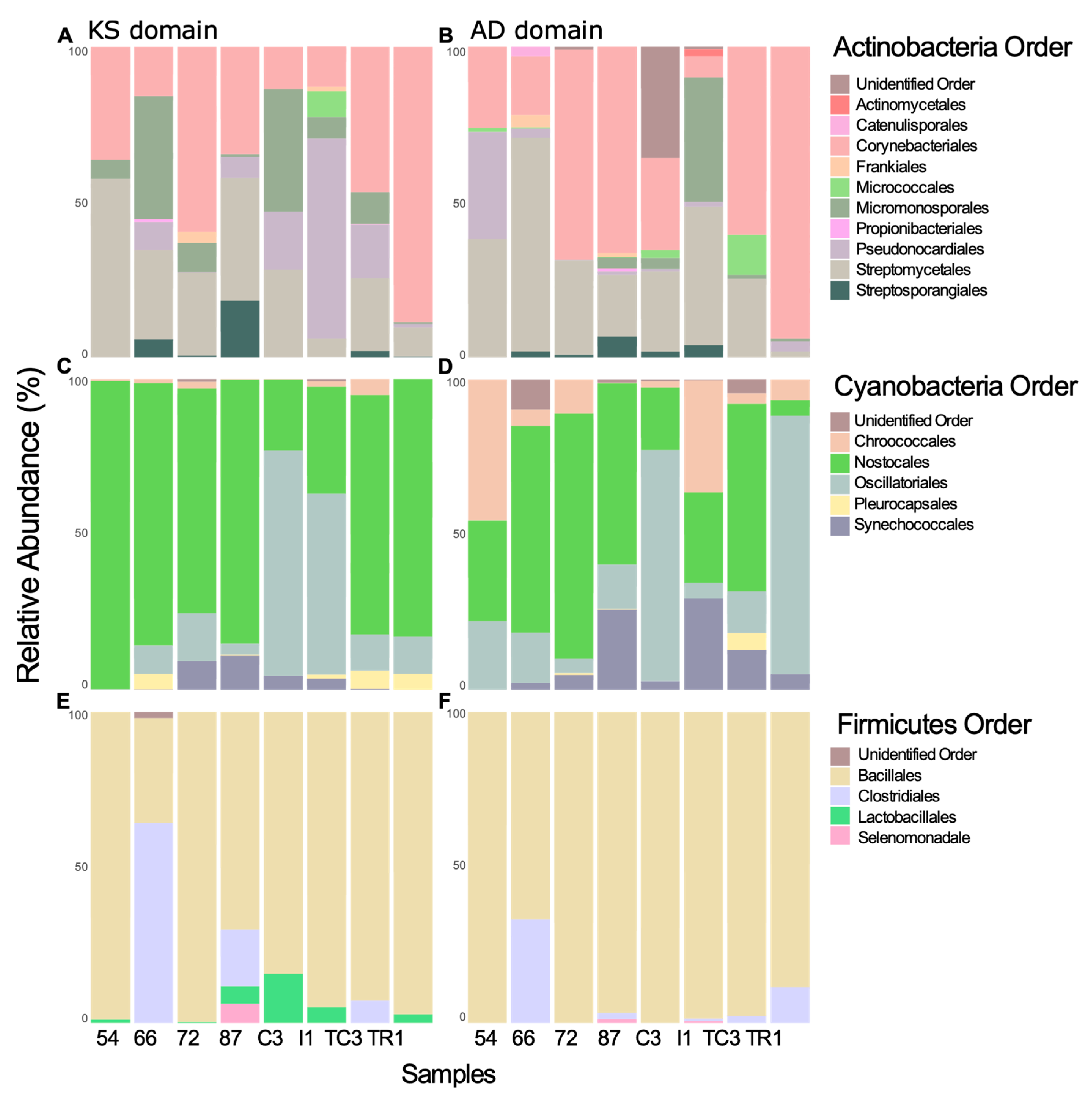 Microorganisms 08 00279 g006