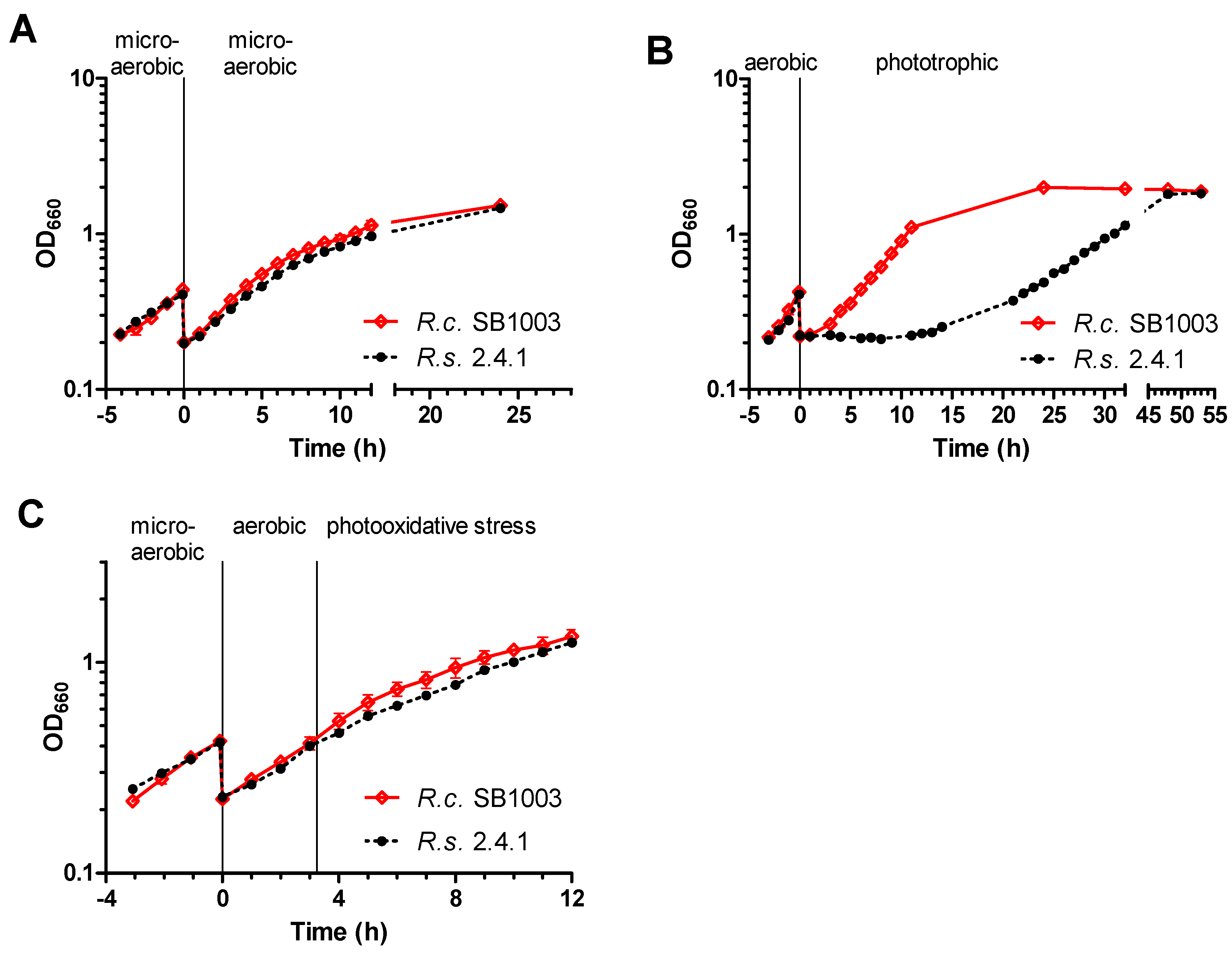 Microorganisms 08 00283 g001