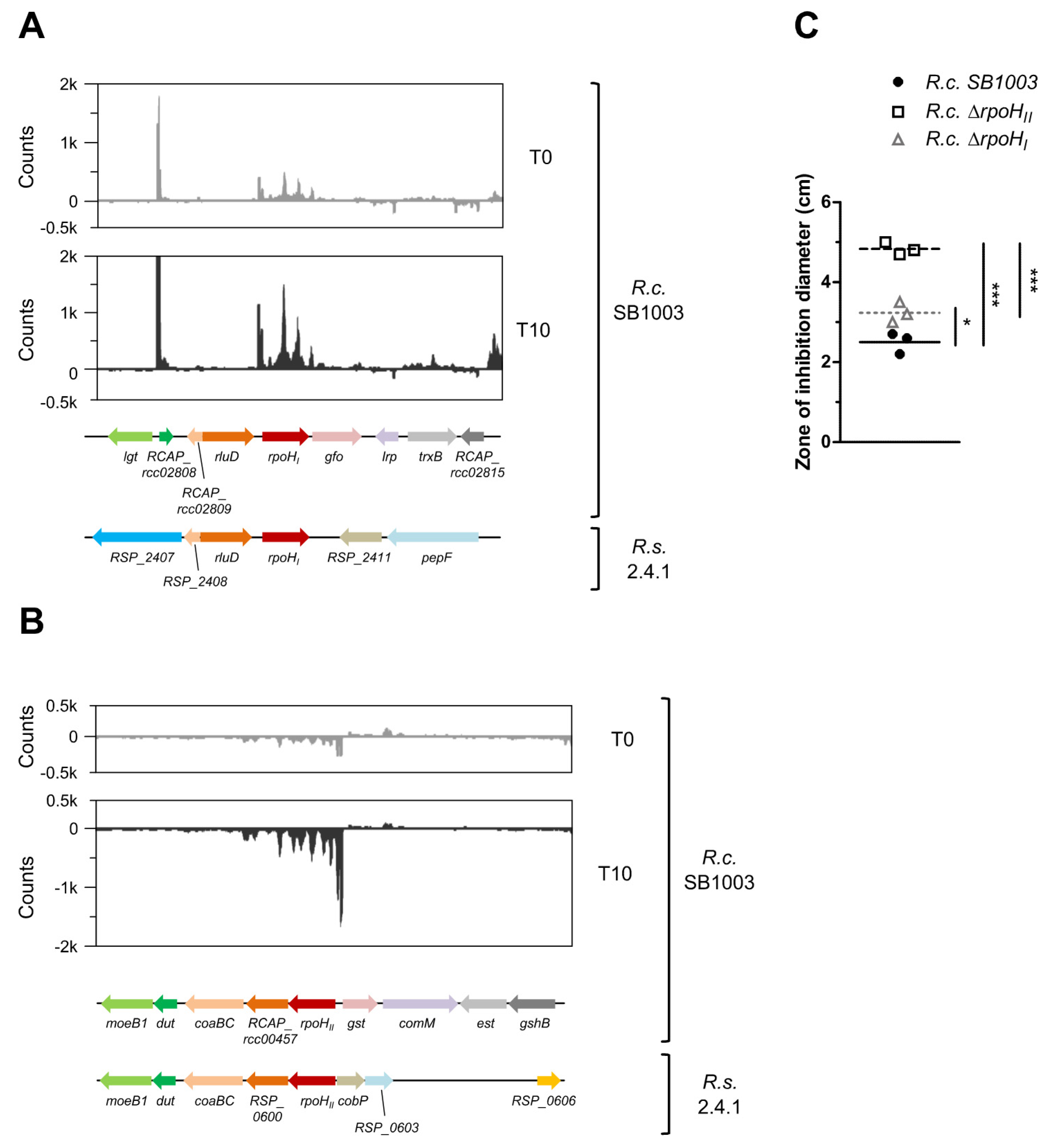Microorganisms 08 00283 g006