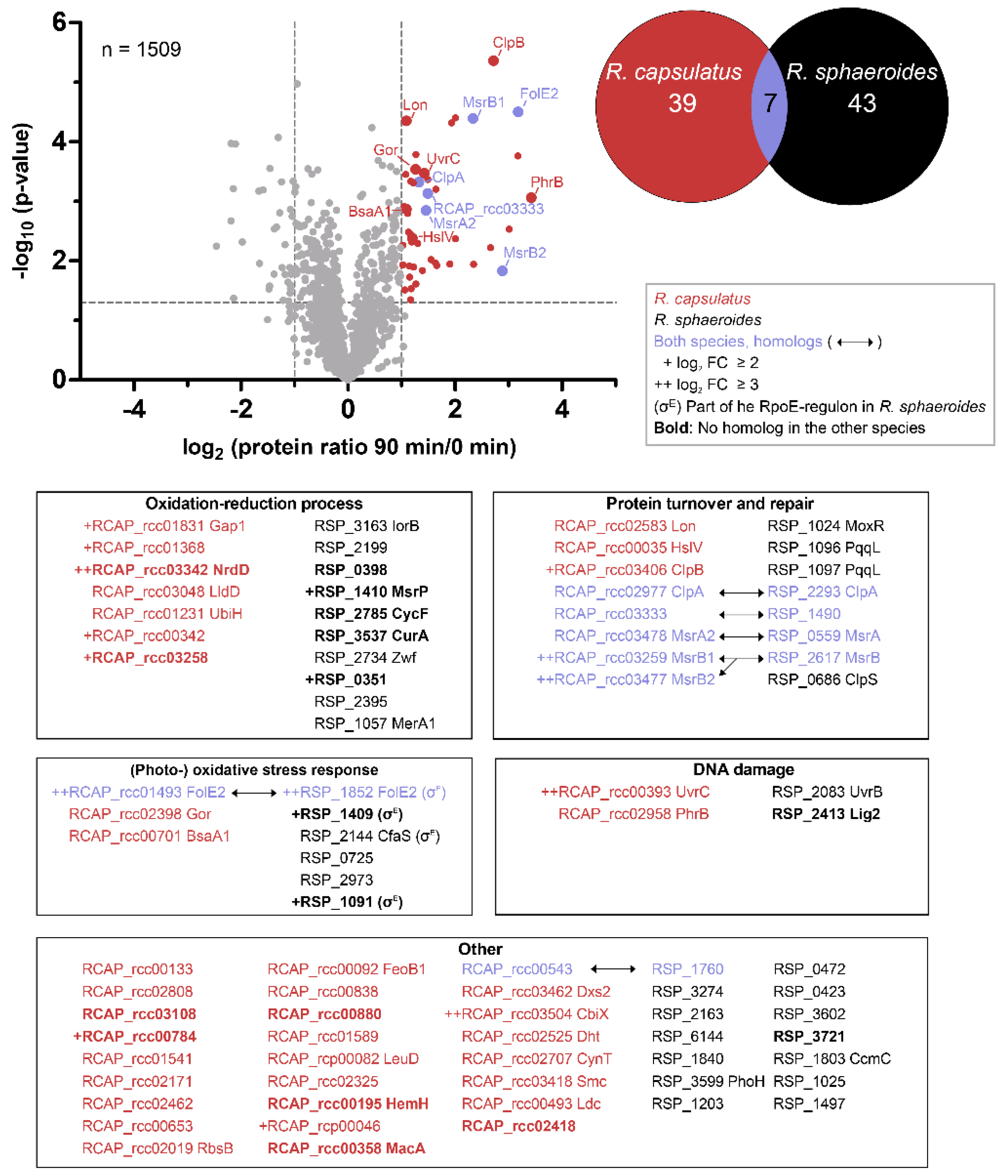 Microorganisms 08 00283 g008