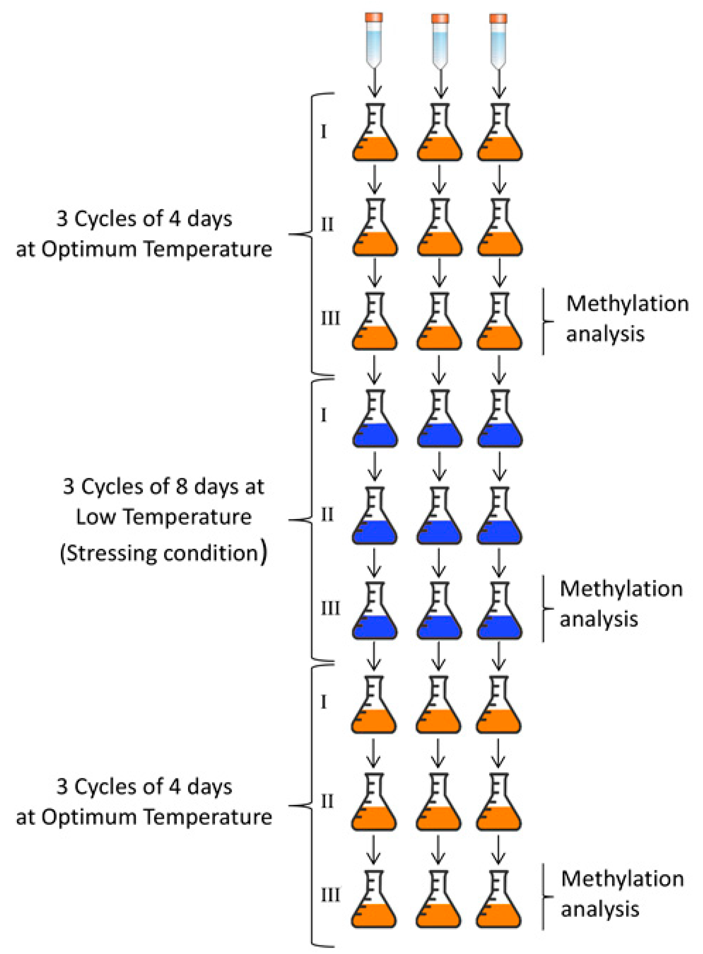 Microorganisms 08 00296 g001