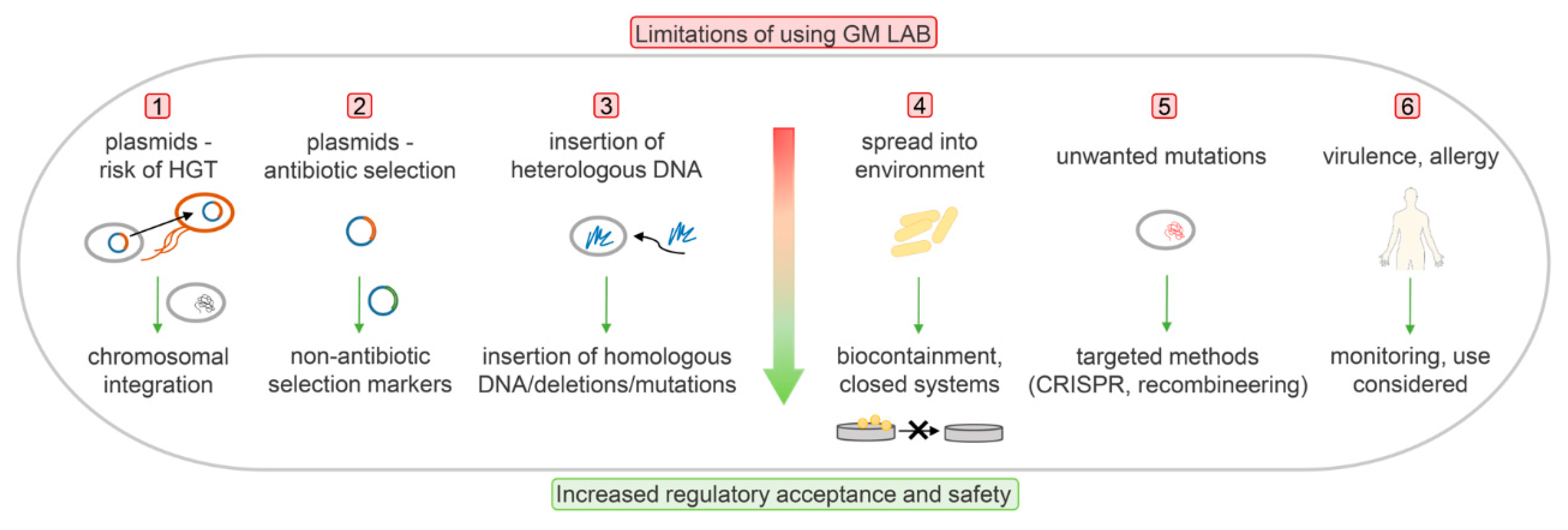 Microorganisms 08 00297 g001