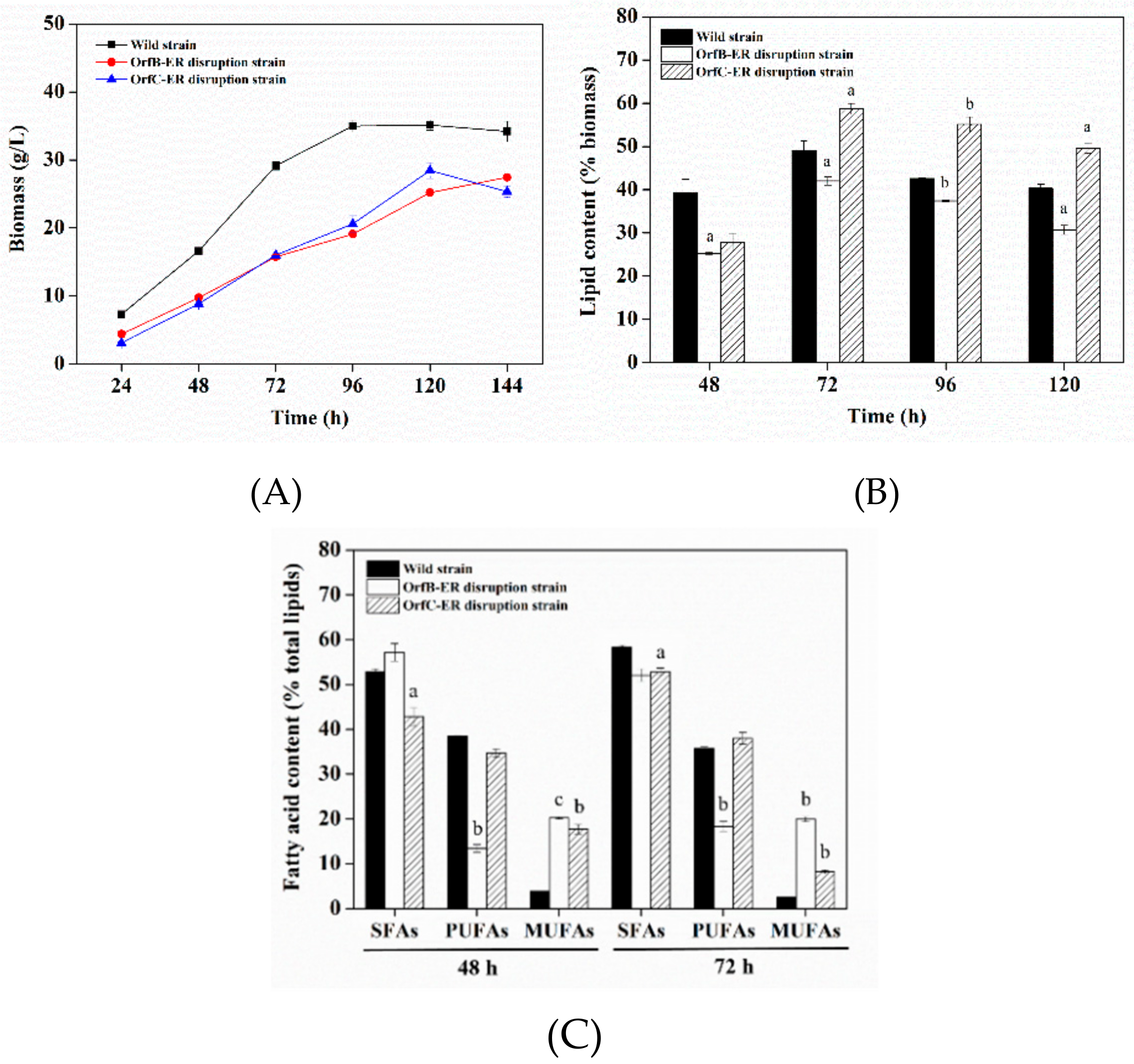 Microorganisms 08 00300 g003