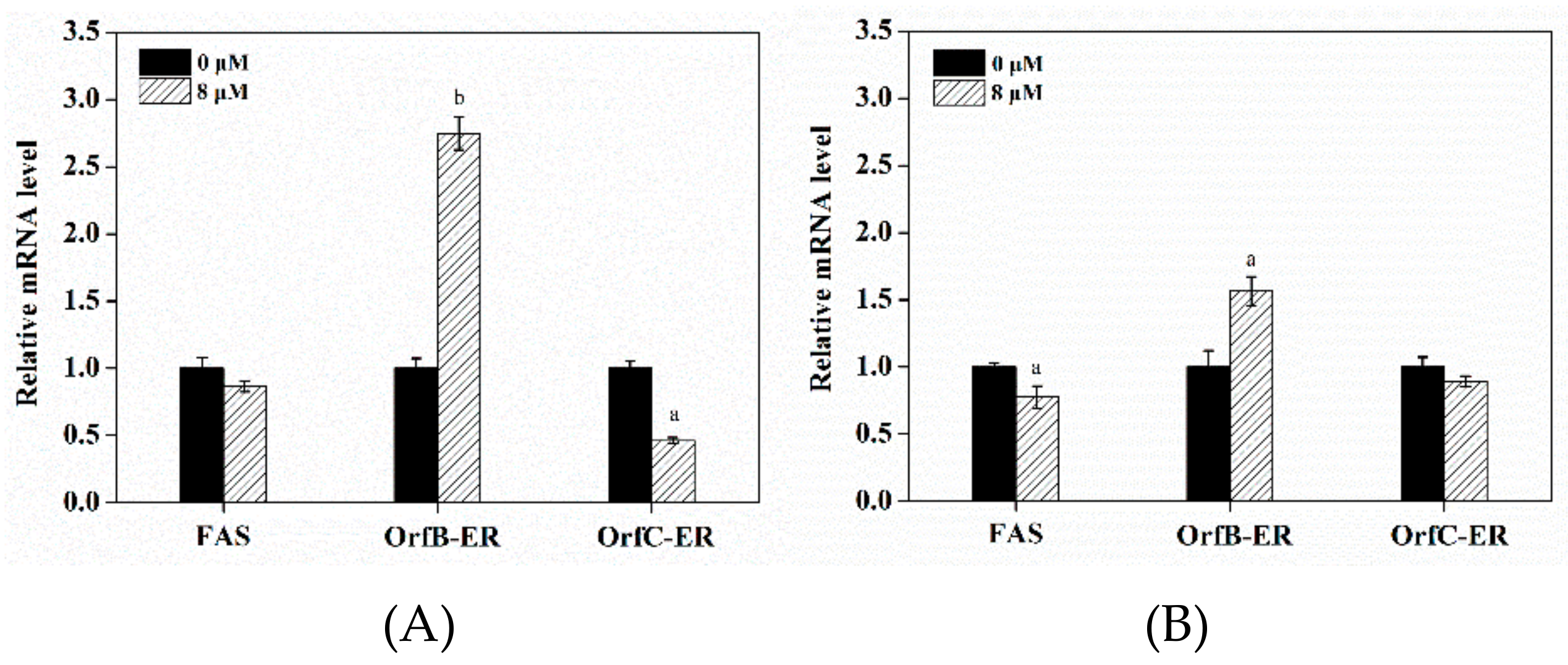 Microorganisms 08 00300 g005