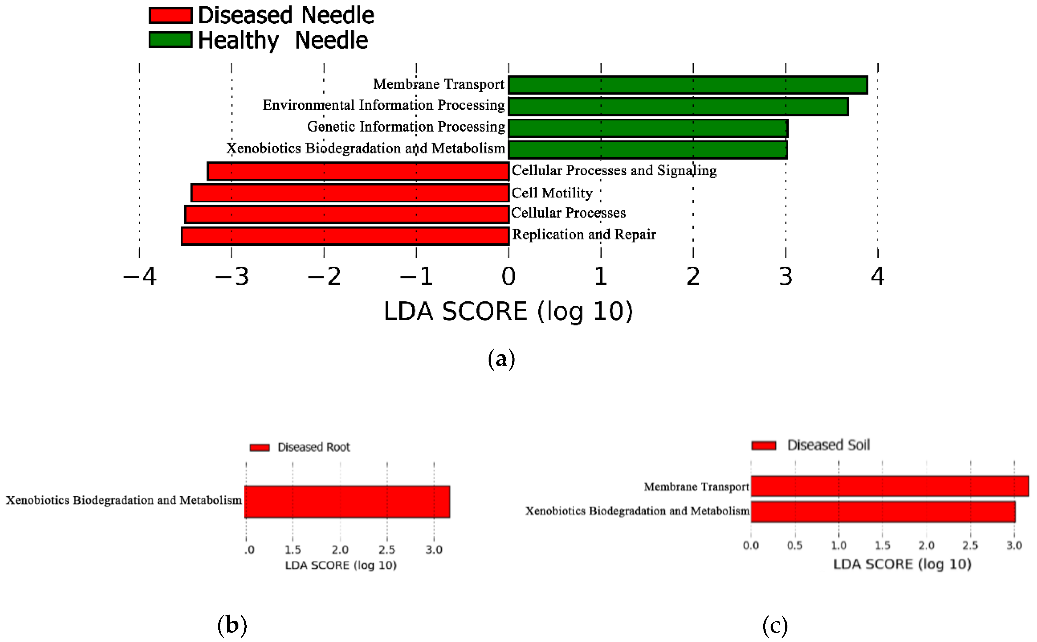 Microorganisms 08 00307 g005