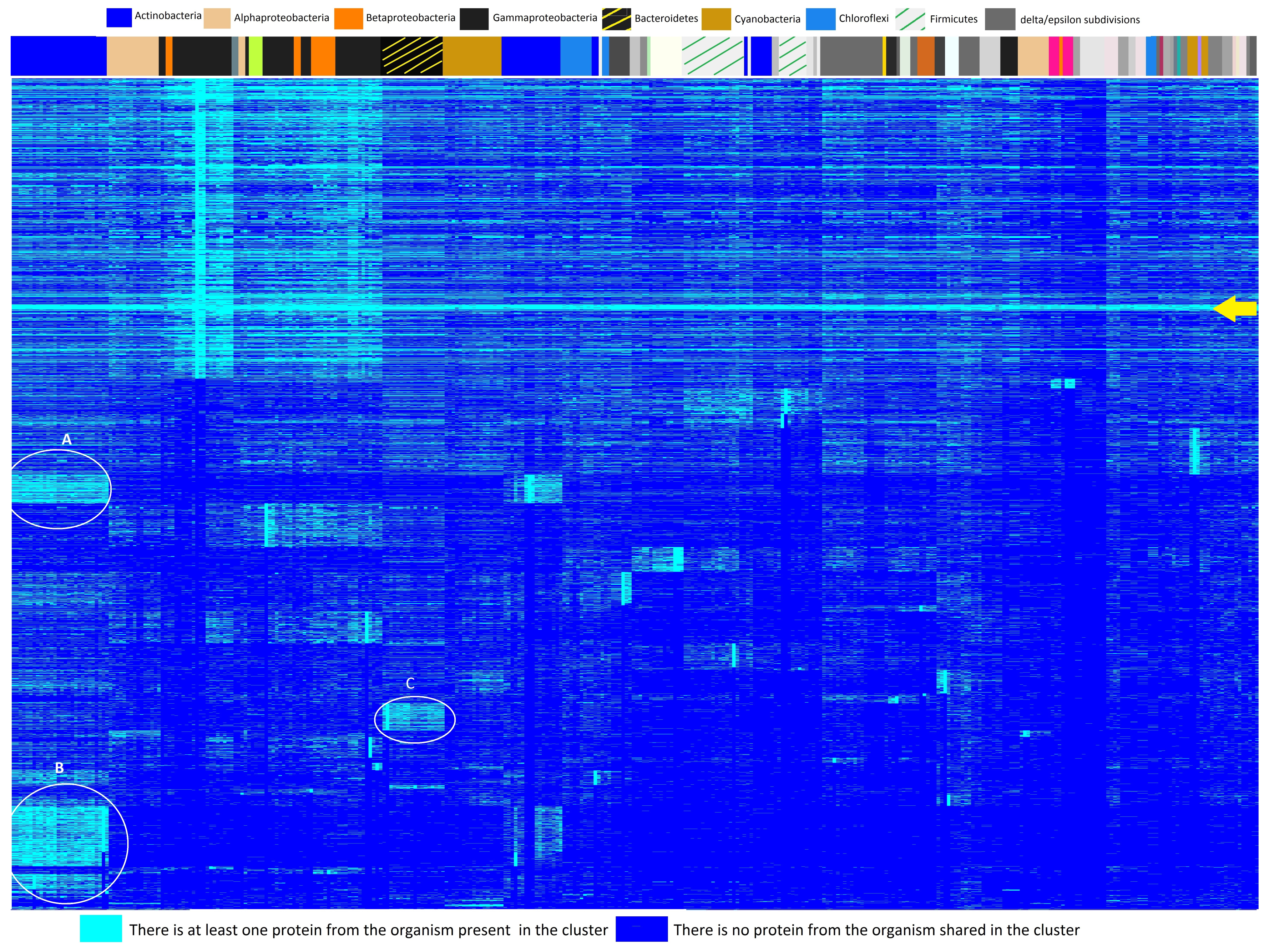 Microorganisms 08 00312 g001