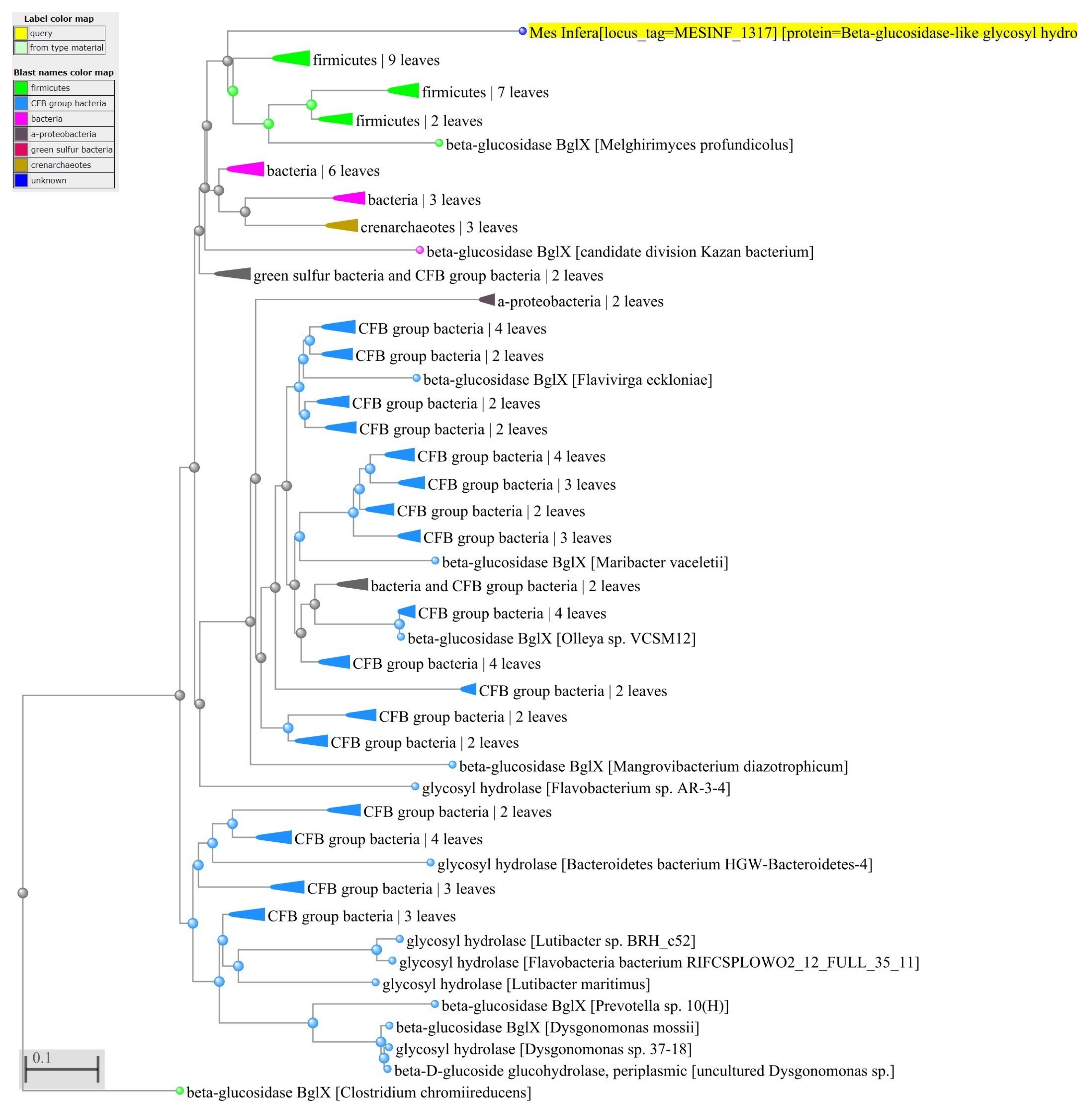 Microorganisms 08 00312 g003