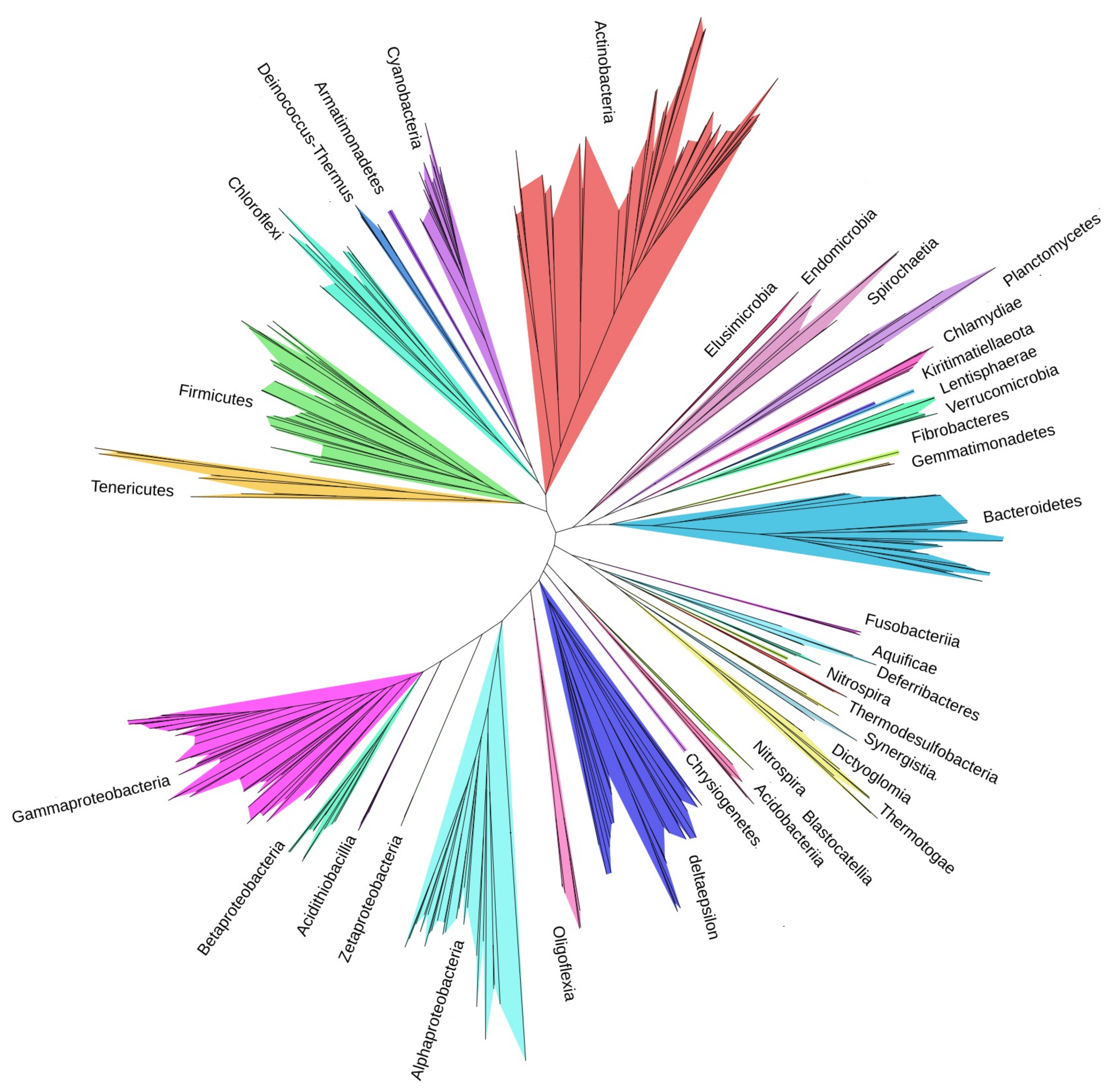 Microorganisms 08 00312 g006