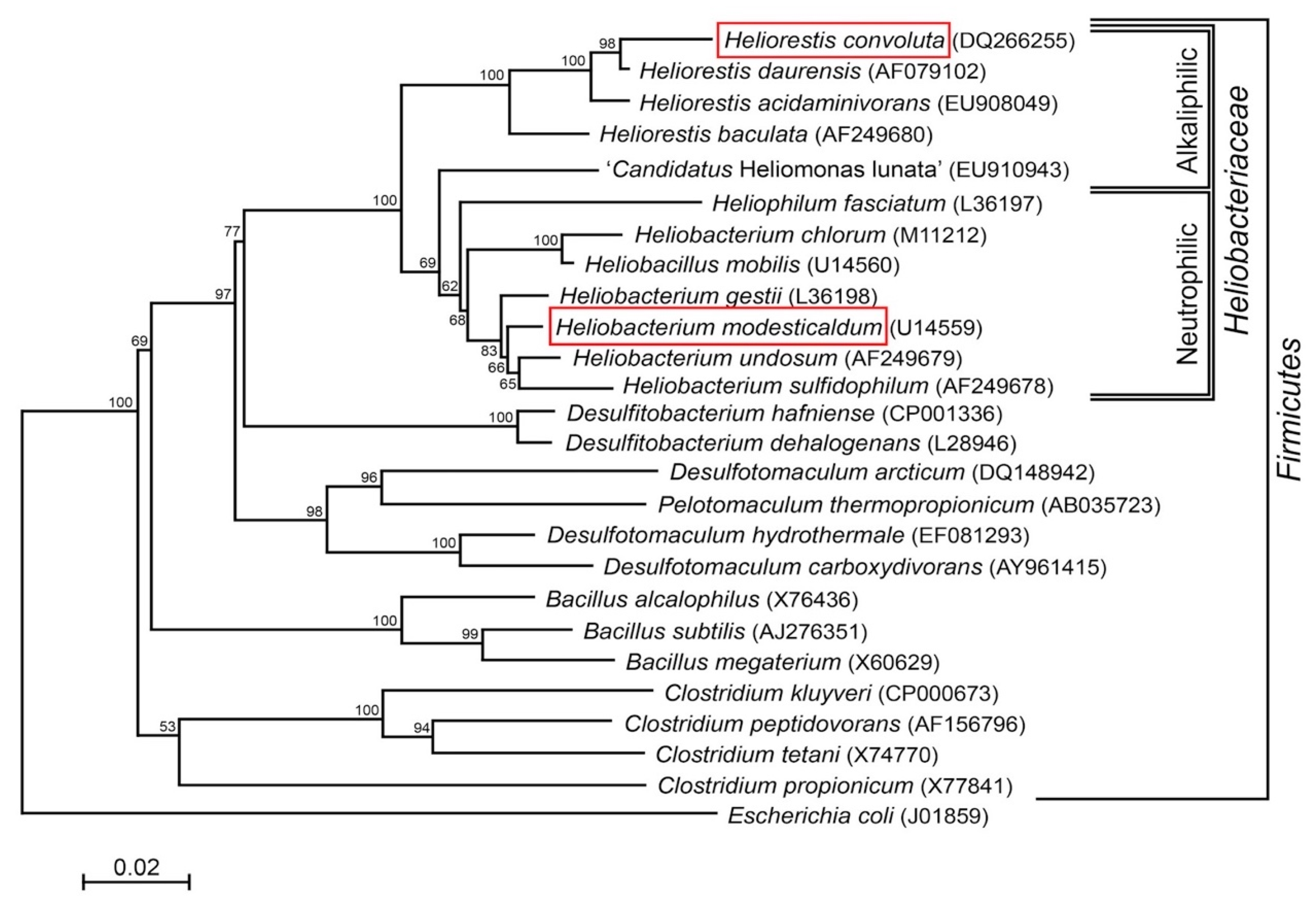 Microorganisms 08 00313 g001
