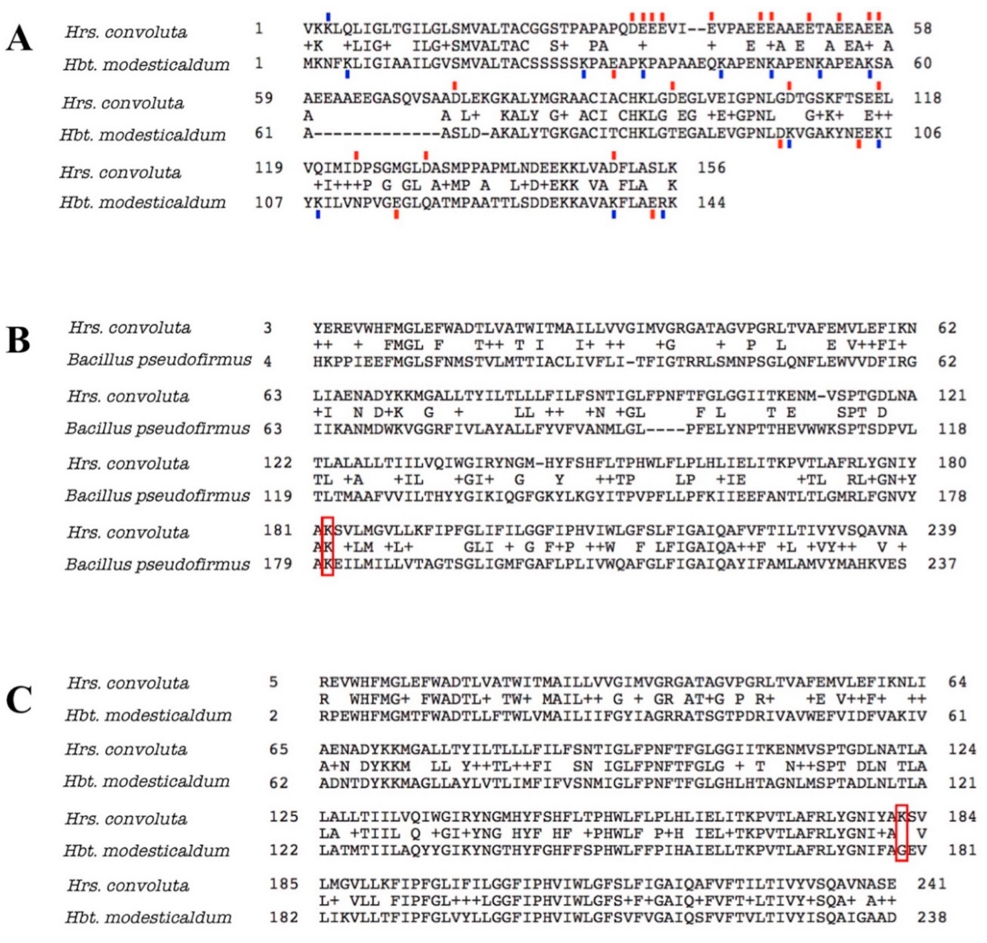 Microorganisms 08 00313 g008