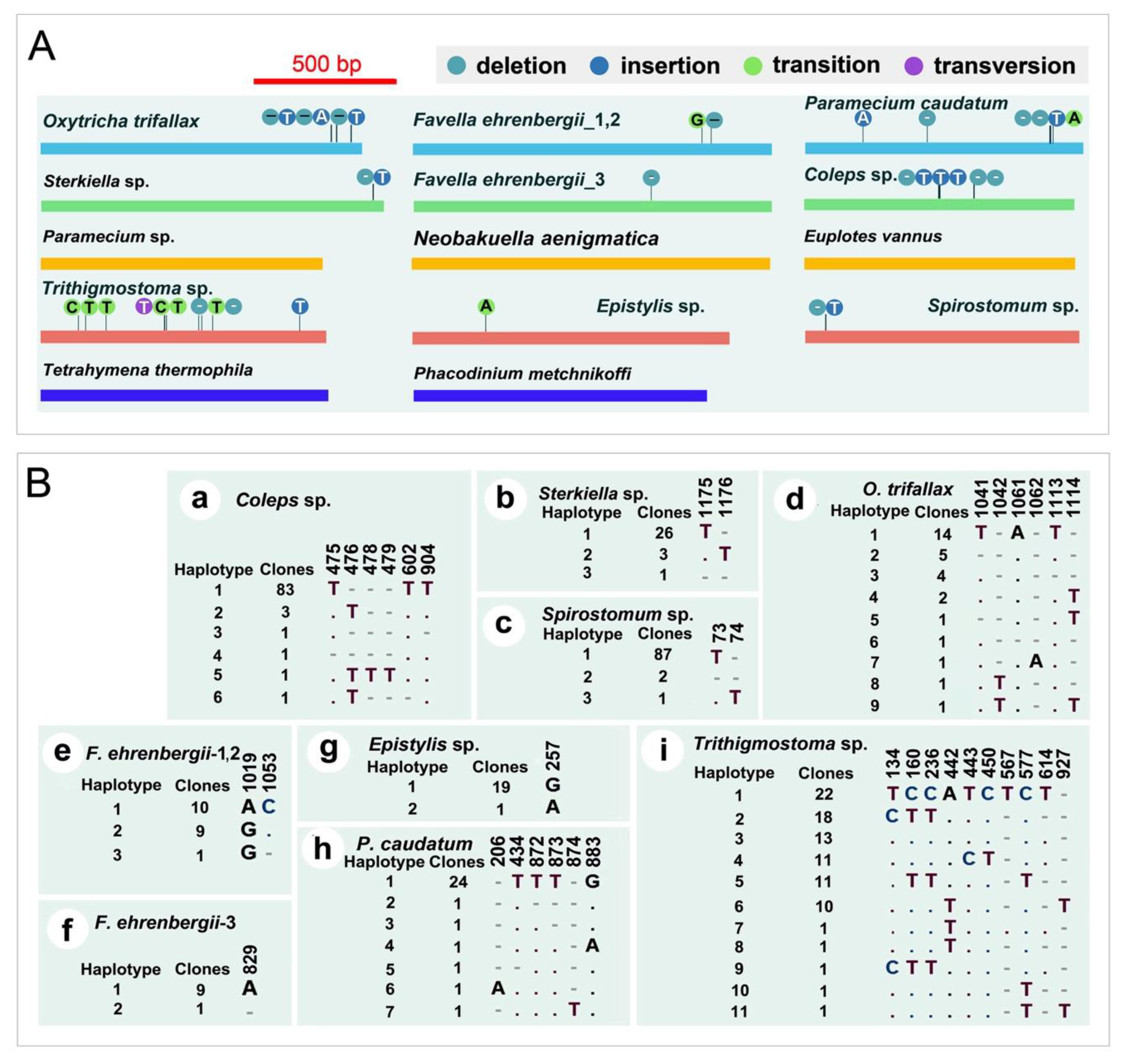 Microorganisms 08 00316 g002