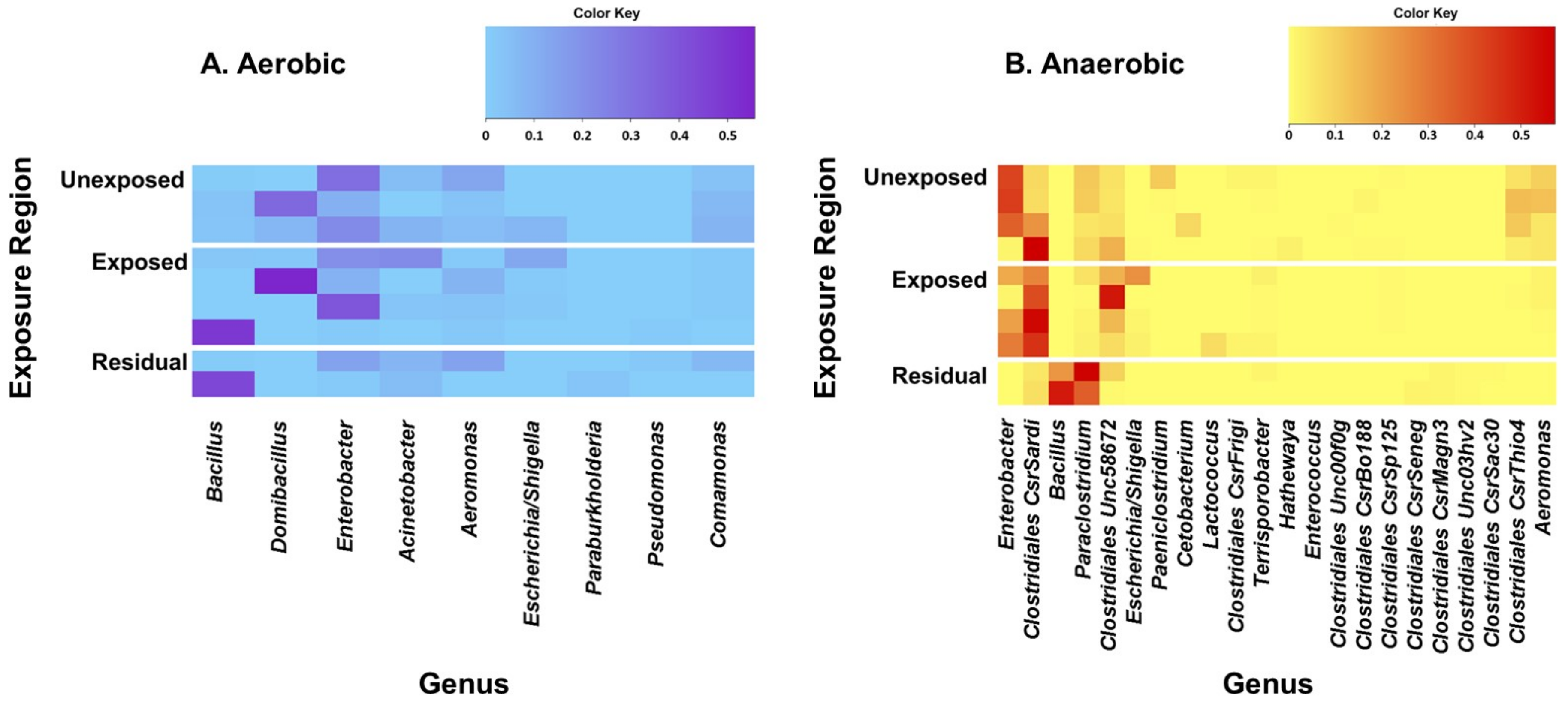 Microorganisms 08 00318 g001 Microorganisms 08 00318 g001