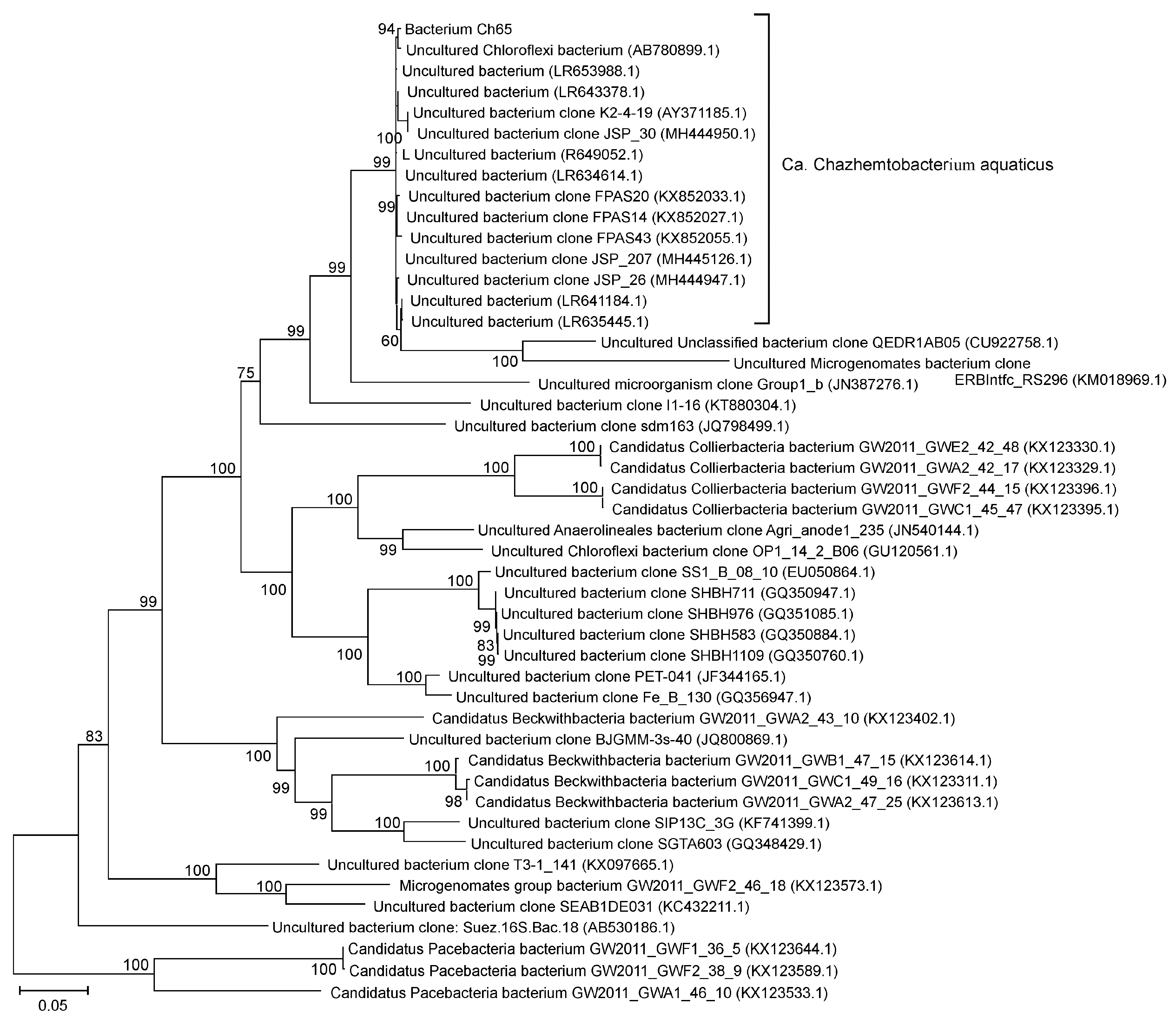Microorganisms 08 00320 g003