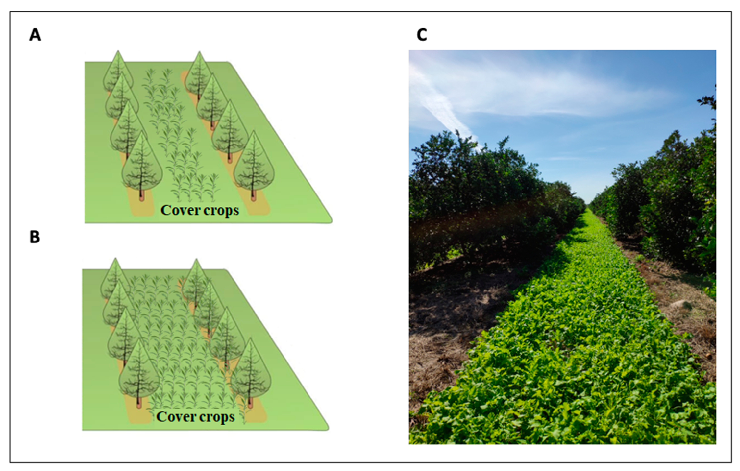 Microorganisms 08 00328 g002 Microorganisms 08 00328 g002
