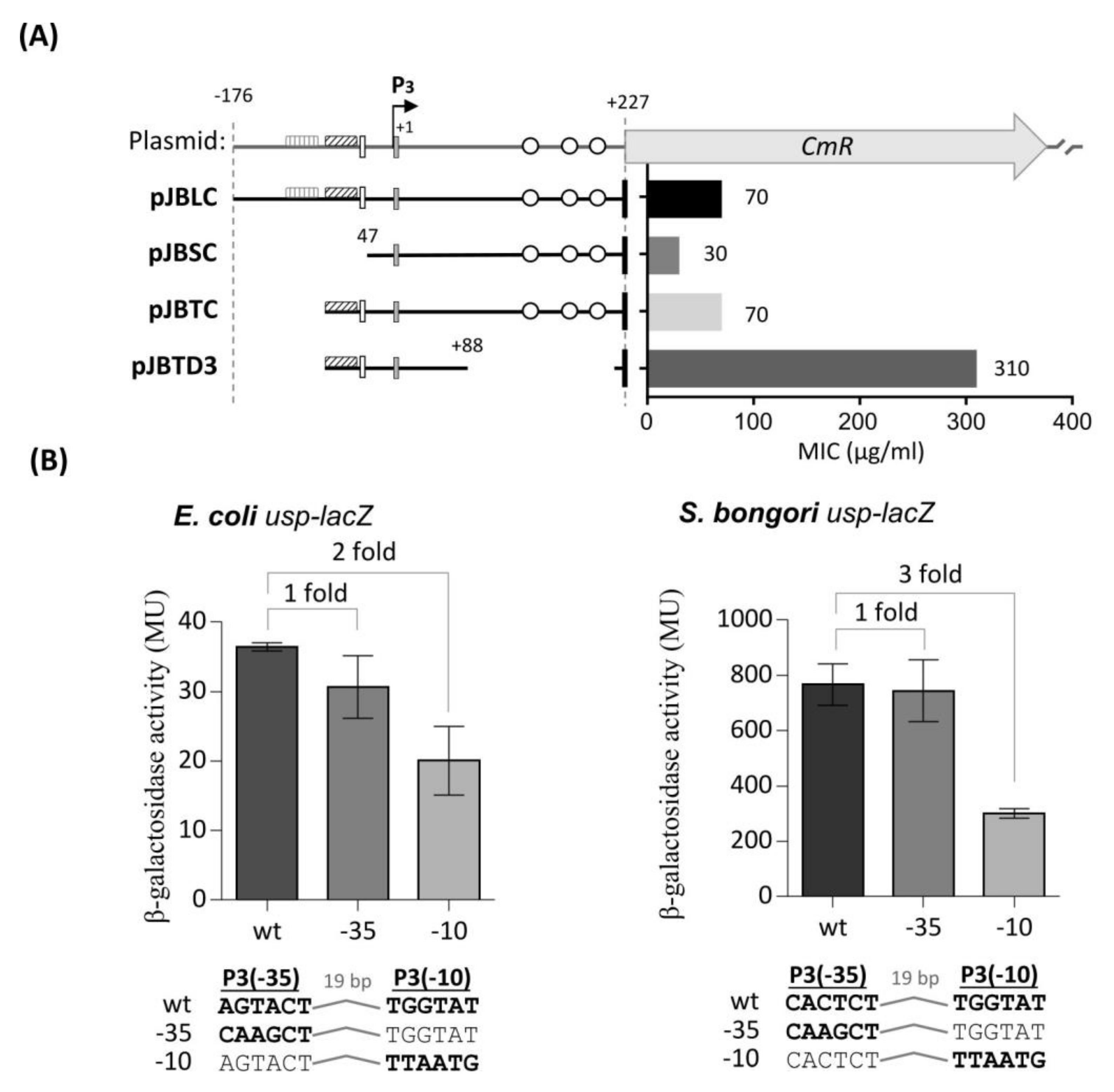 Microorganisms 08 00330 g003