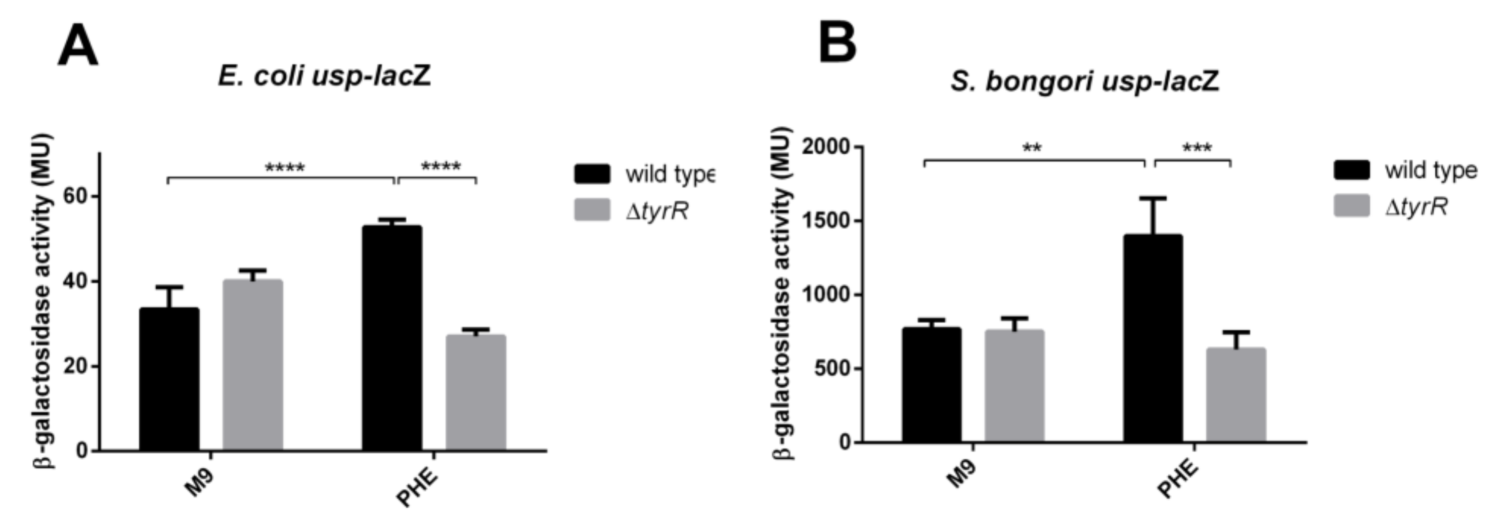 Microorganisms 08 00330 g004