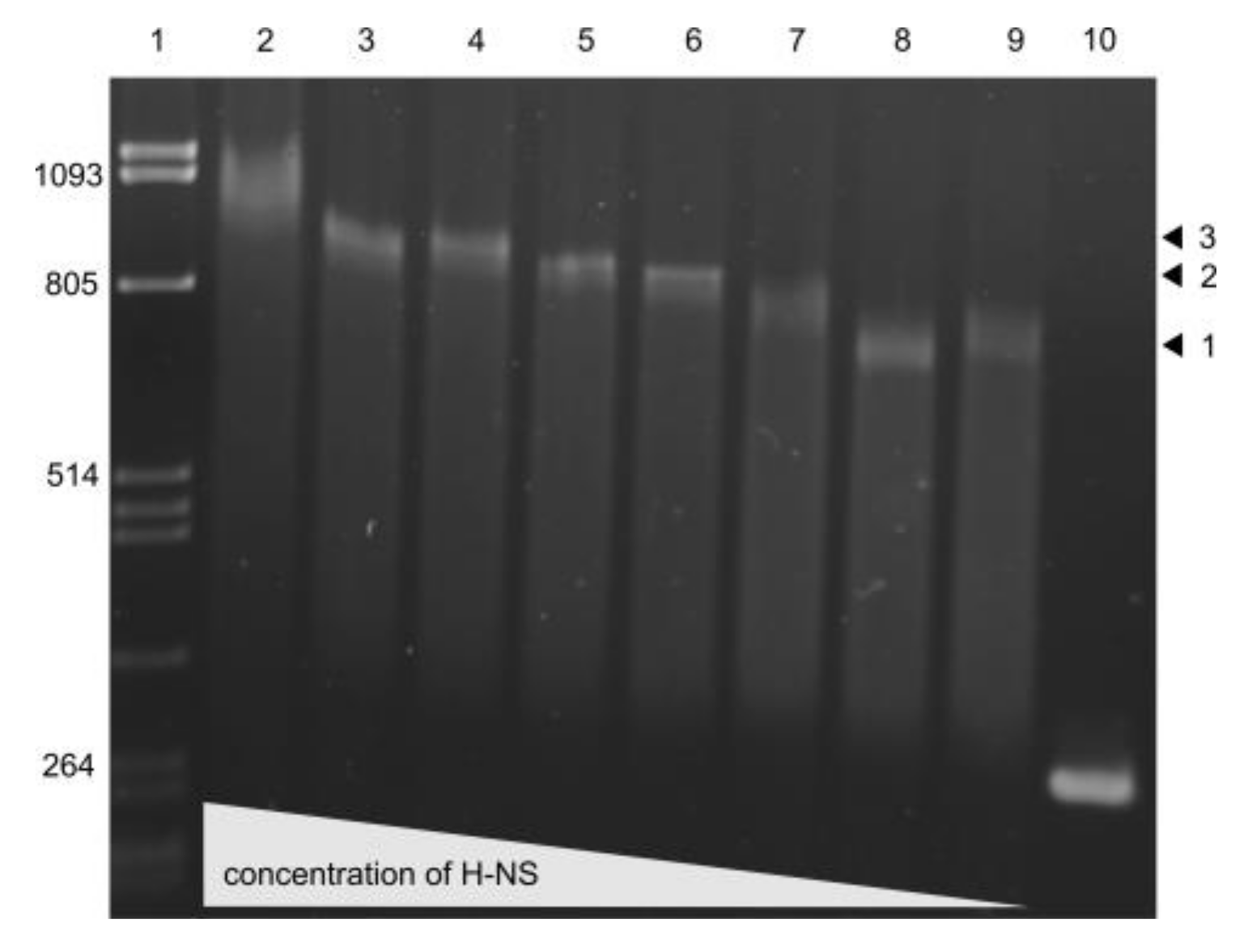 Microorganisms 08 00330 g007