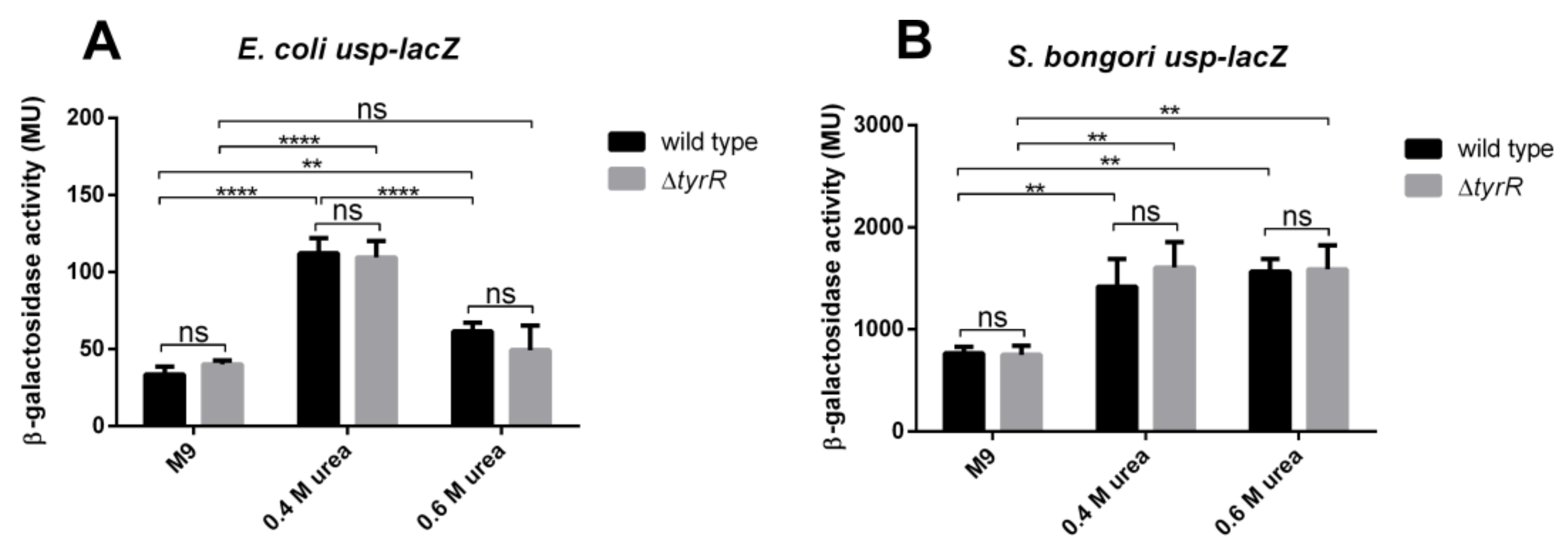 Microorganisms 08 00330 g008