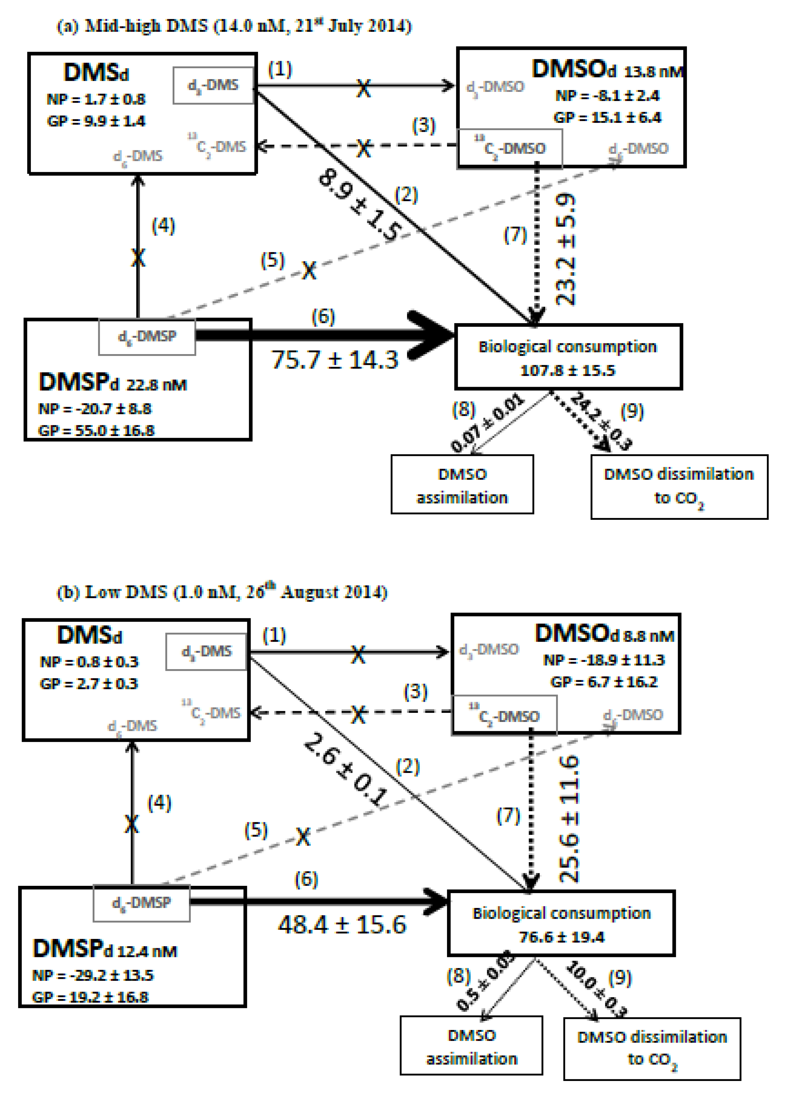 Microorganisms 08 00337 g005