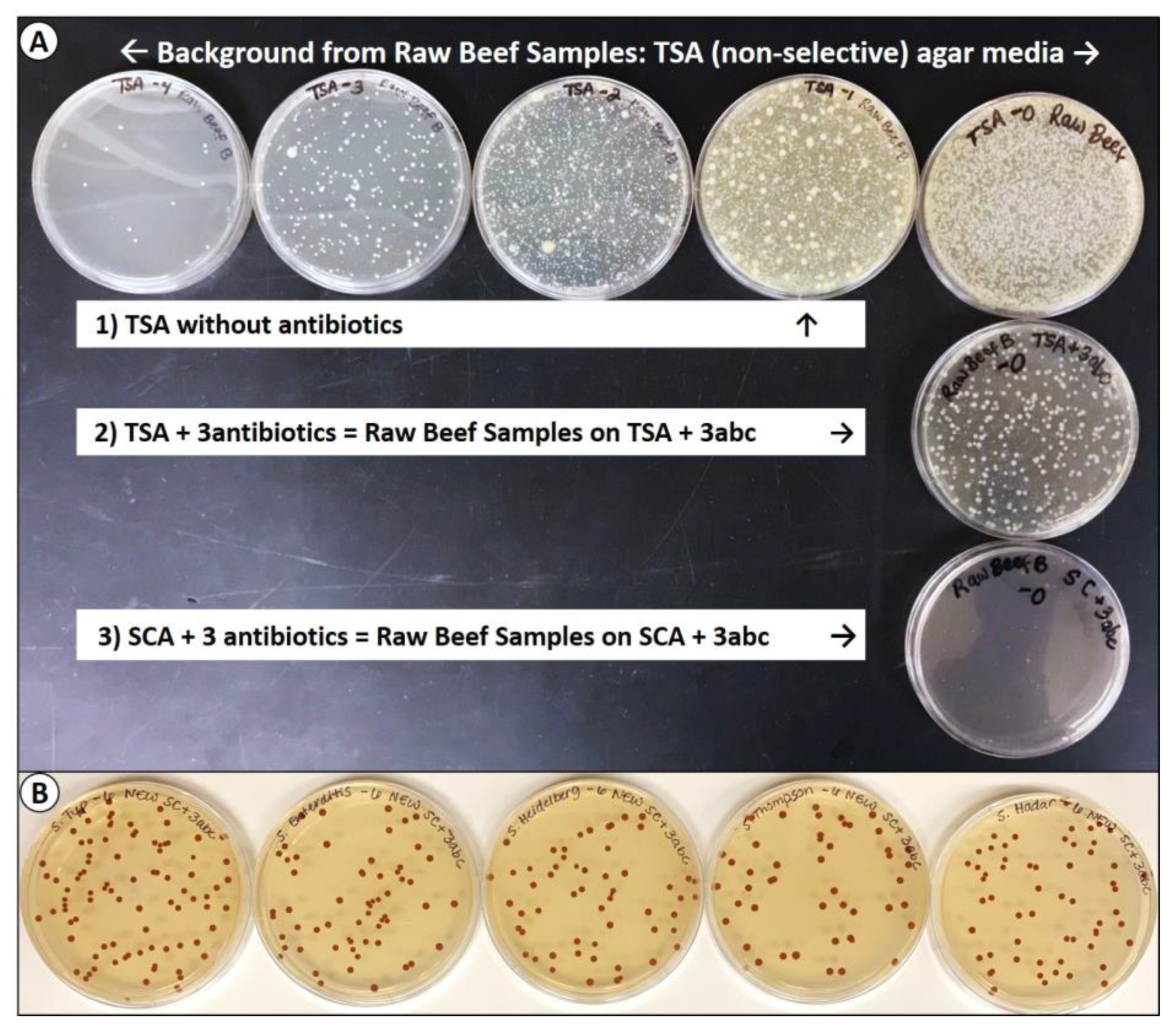 Microorganisms 08 00338 g004