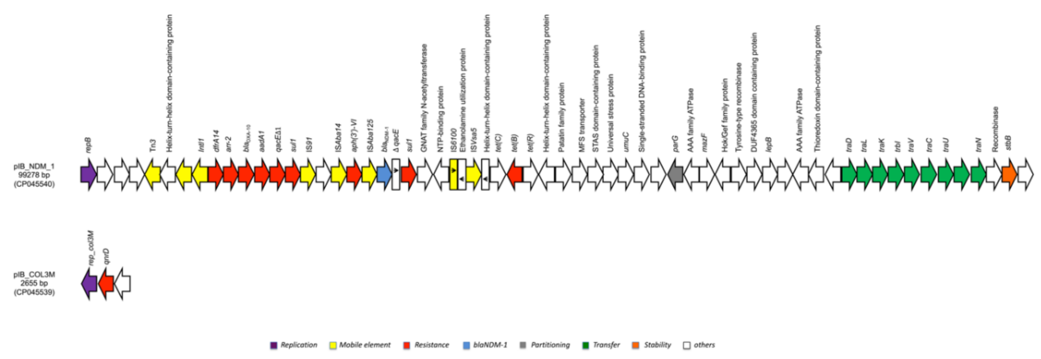 Microorganisms 08 00339 g002