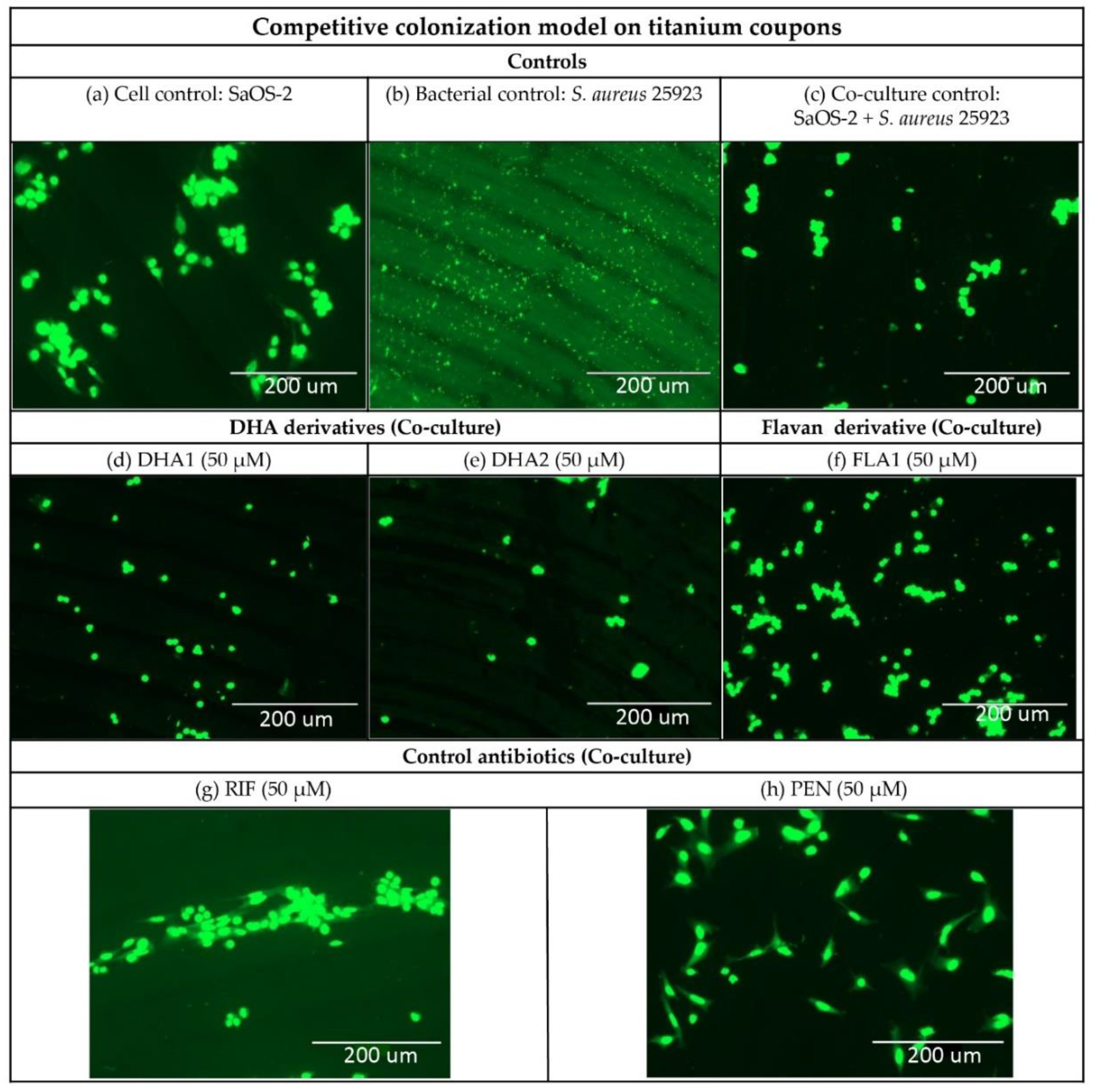 Microorganisms 08 00345 g005