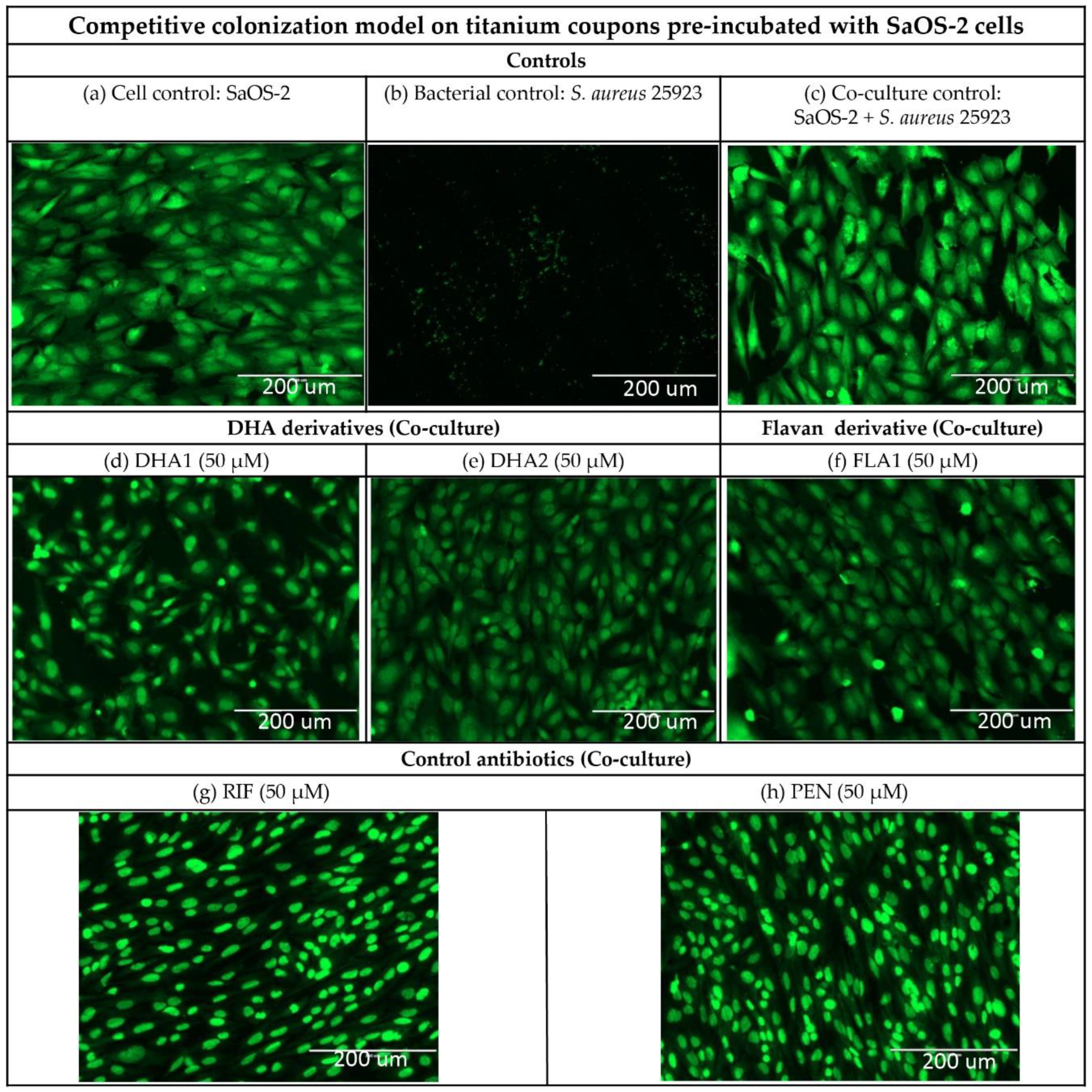 Microorganisms 08 00345 g007