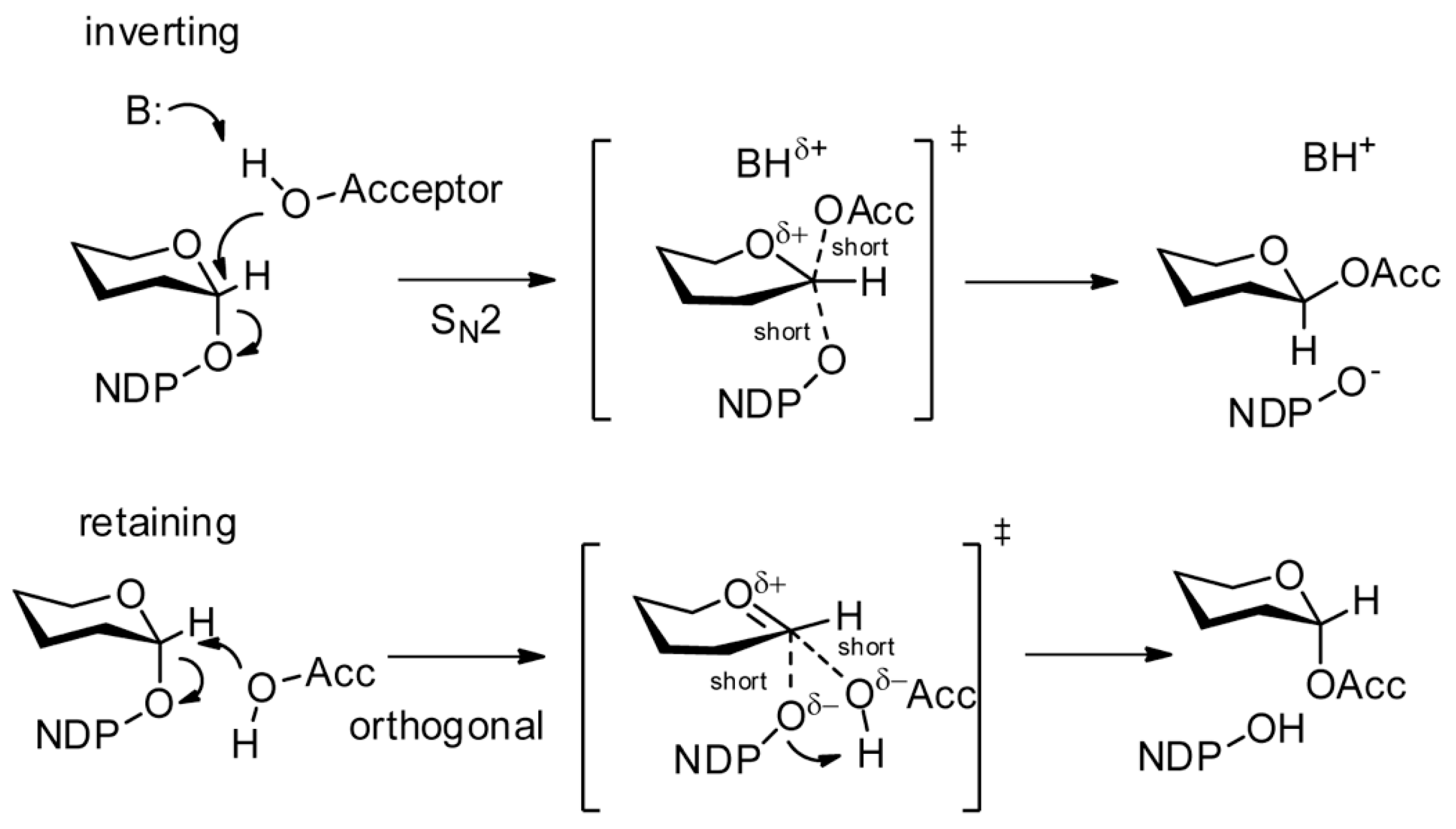 Microorganisms 08 00357 g002 Microorganisms 08 00357 g002
