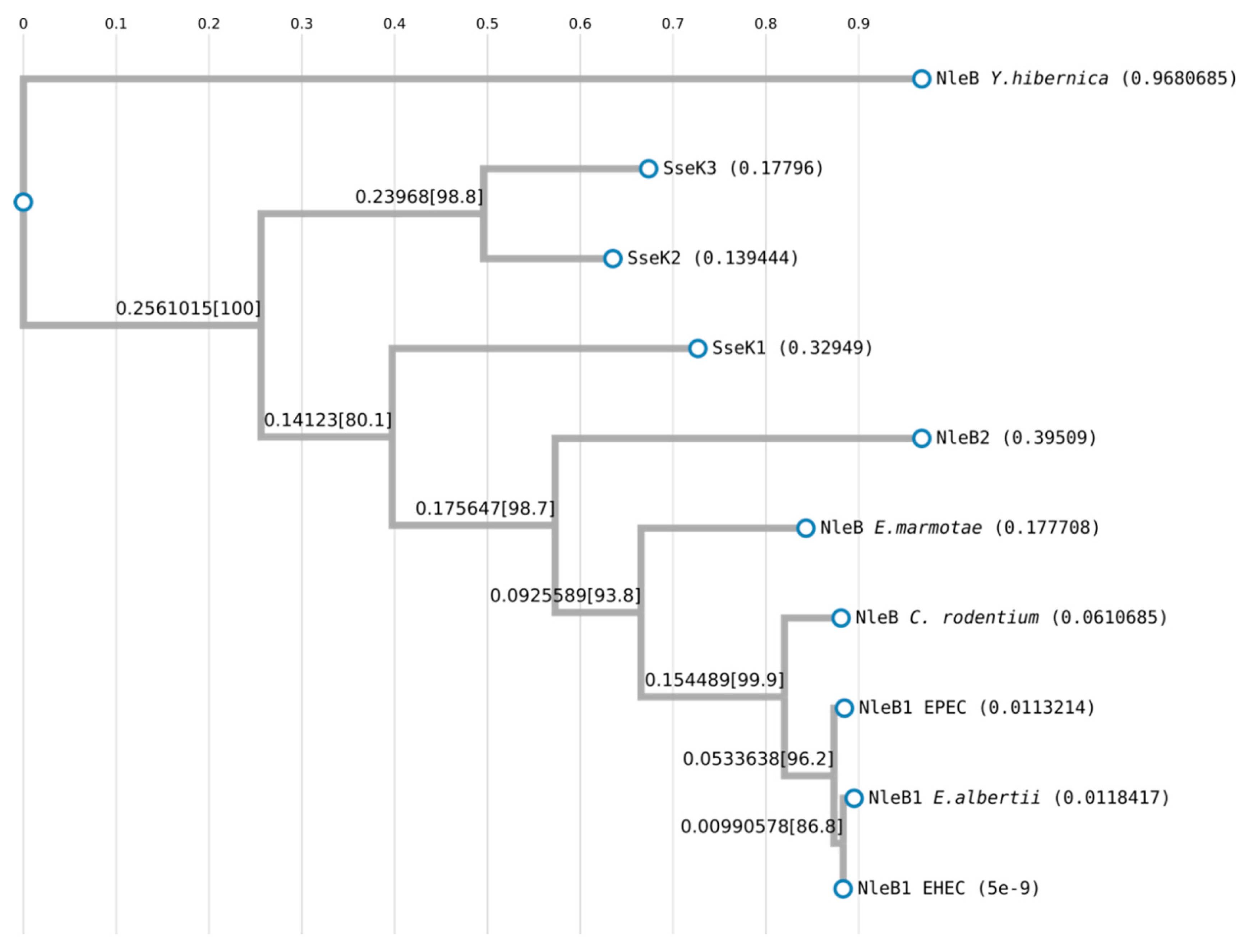 Microorganisms 08 00357 g004 Microorganisms 08 00357 g004