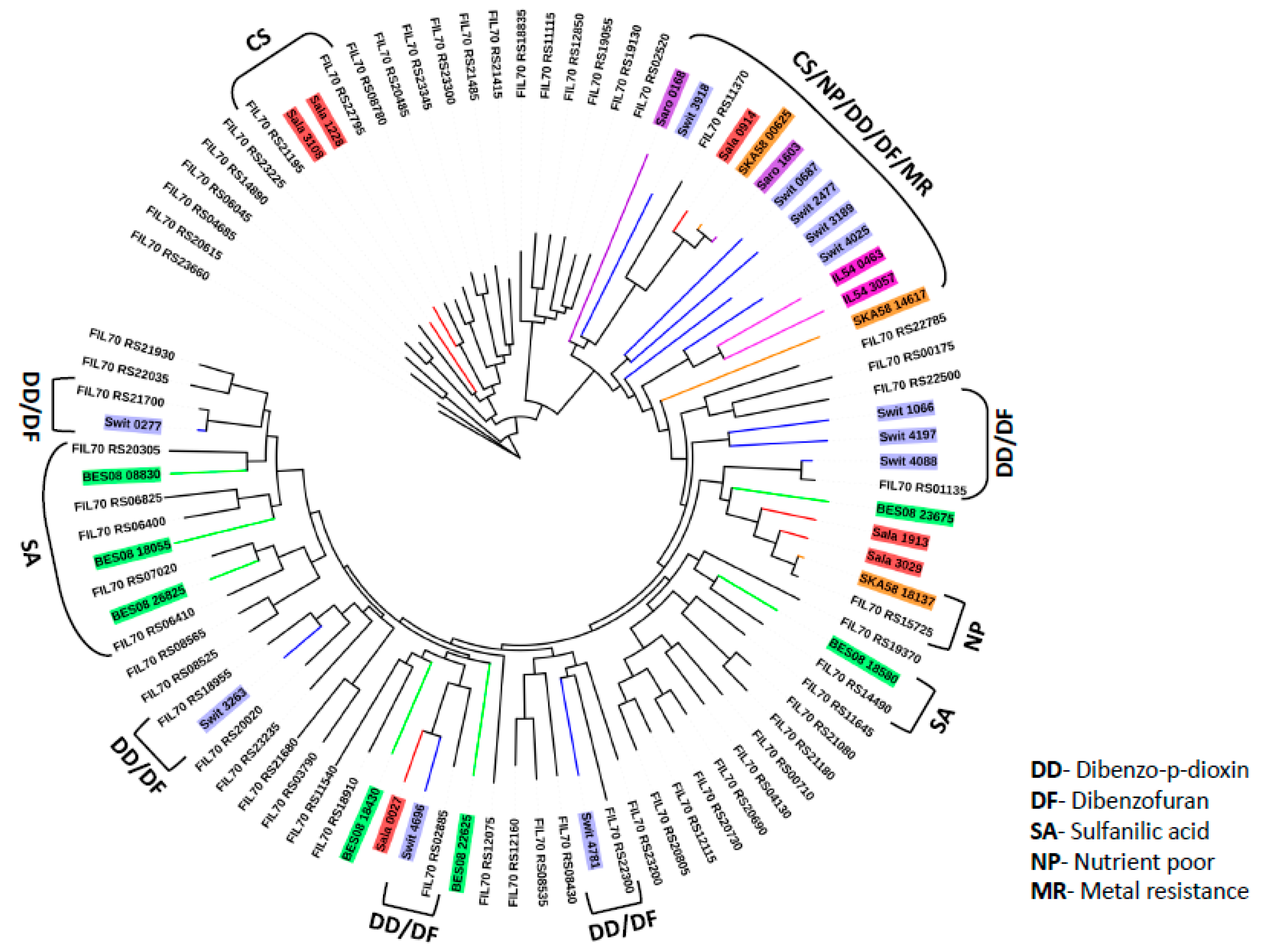 Microorganisms 08 00359 g004