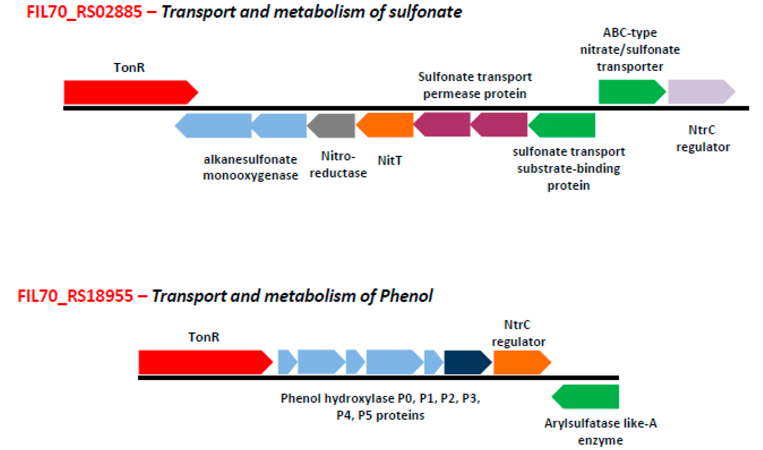 Microorganisms 08 00359 g005