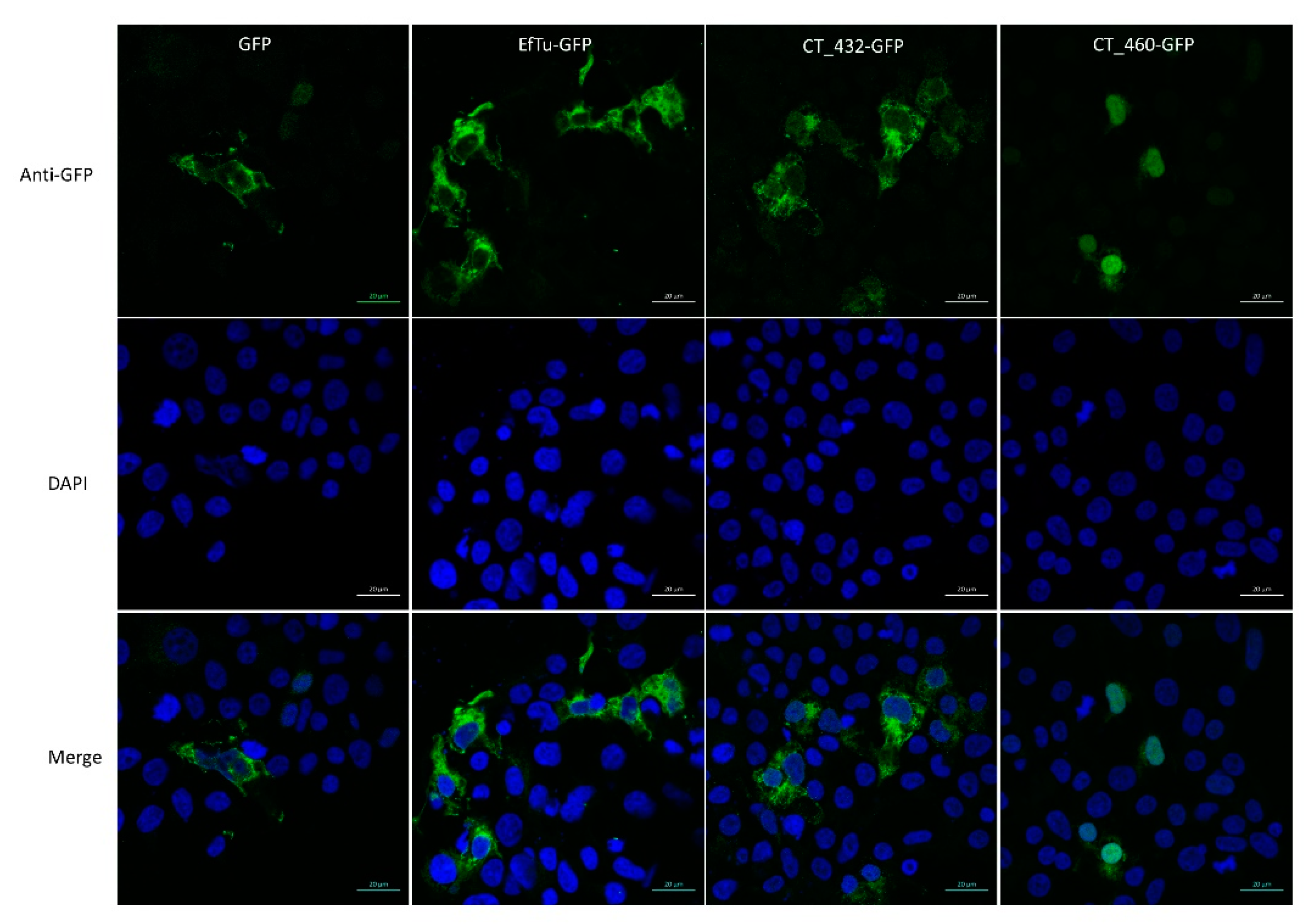 Microorganisms 08 00361 g002