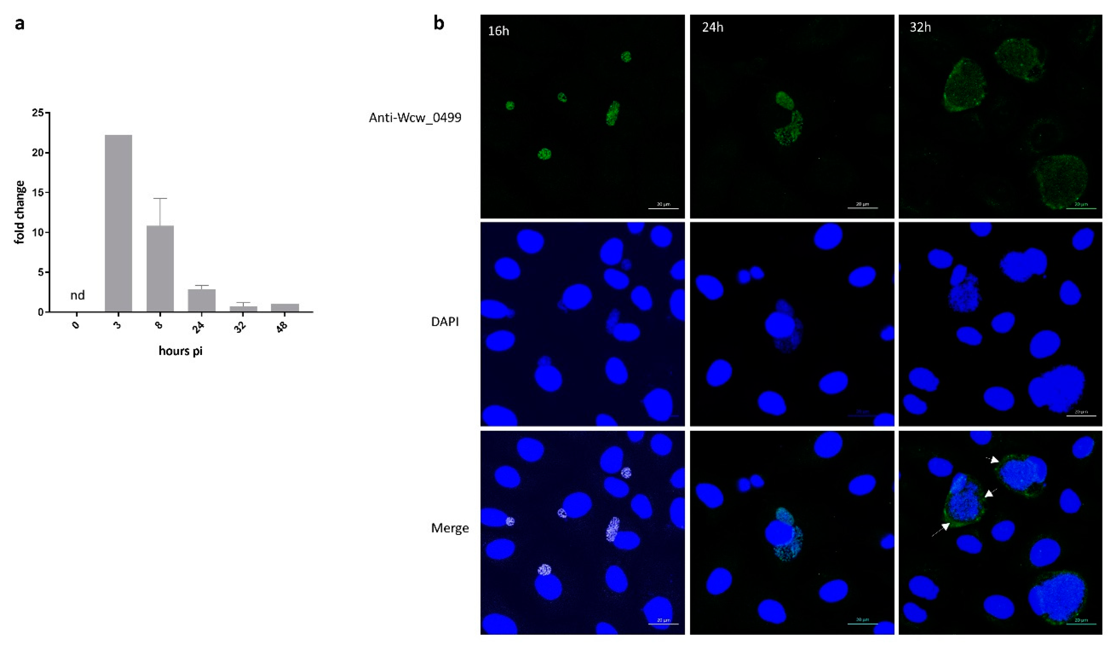 Microorganisms 08 00361 g003