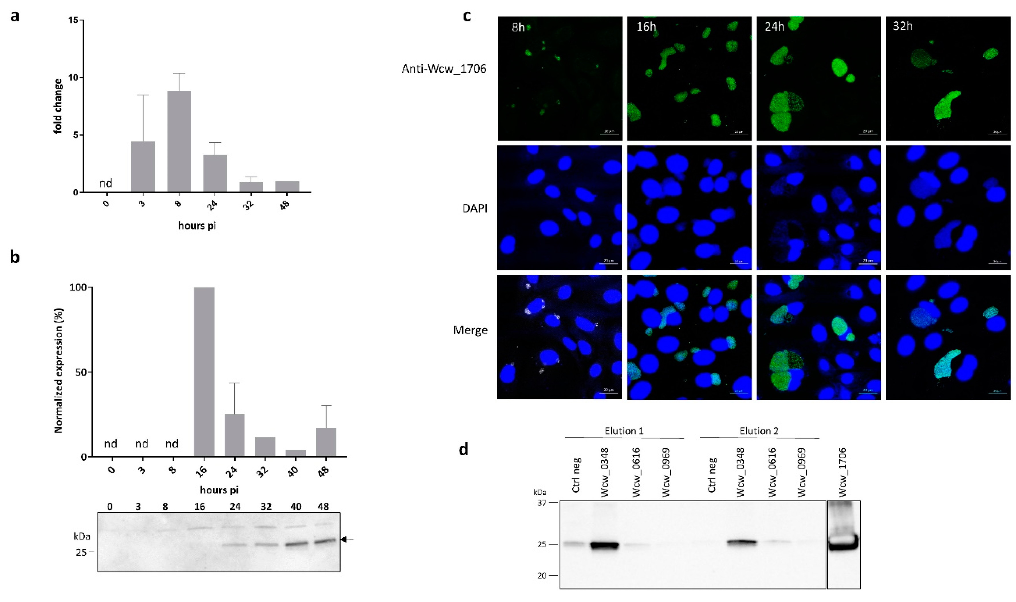 Microorganisms 08 00361 g004
