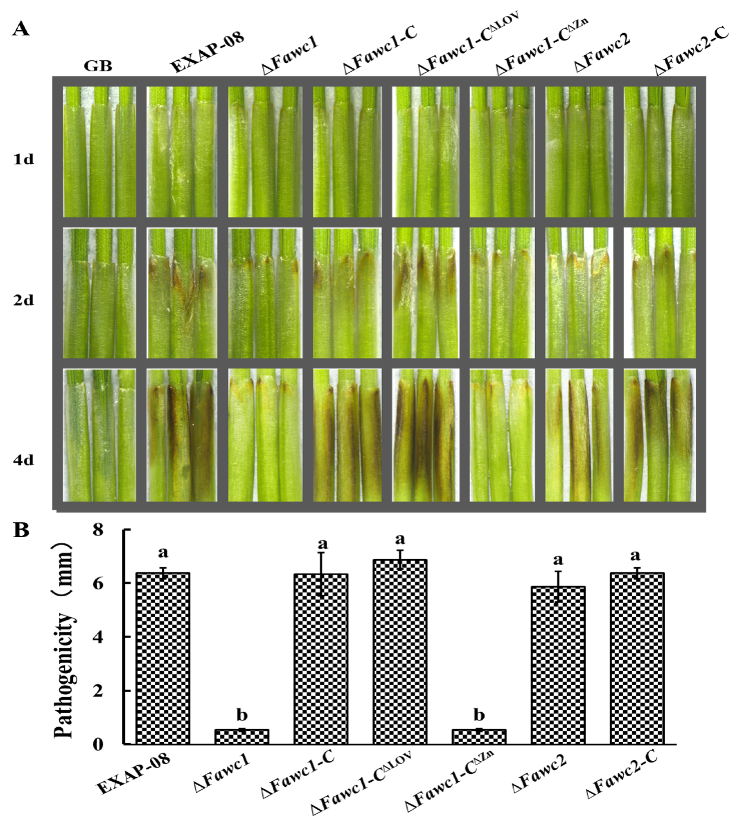 Microorganisms 08 00365 g006