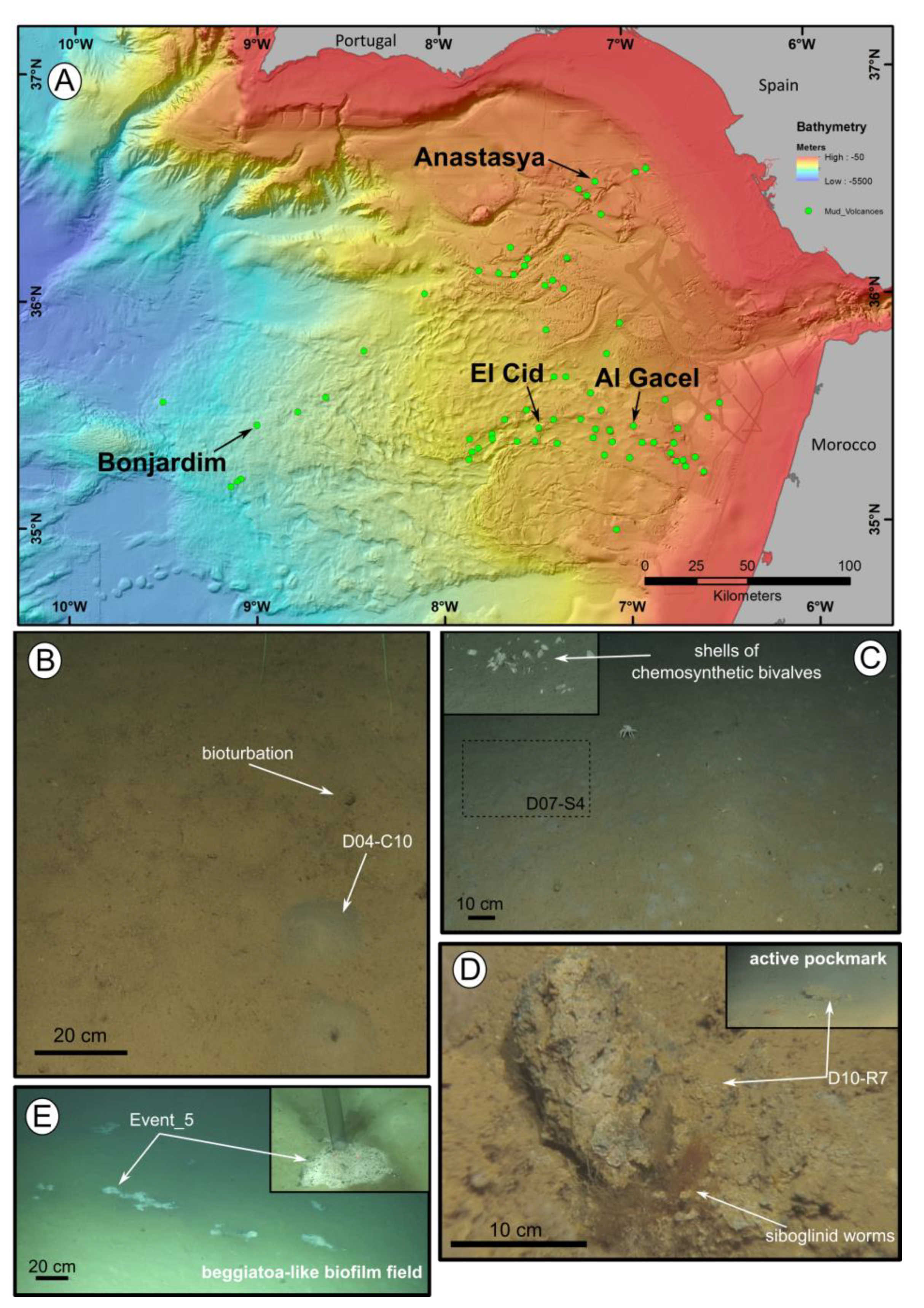 Microorganisms 08 00367 g001