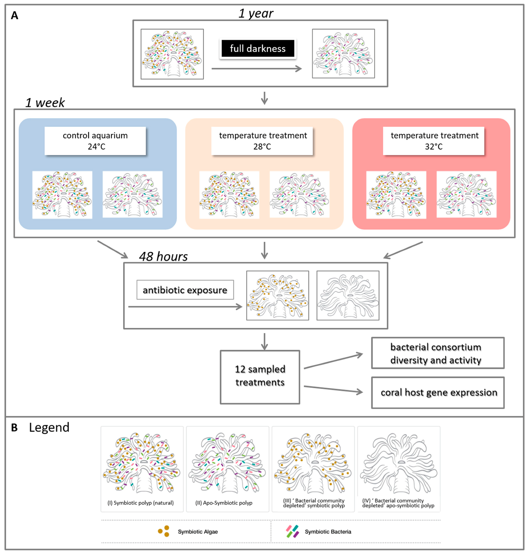 Microorganisms 08 00372 g001