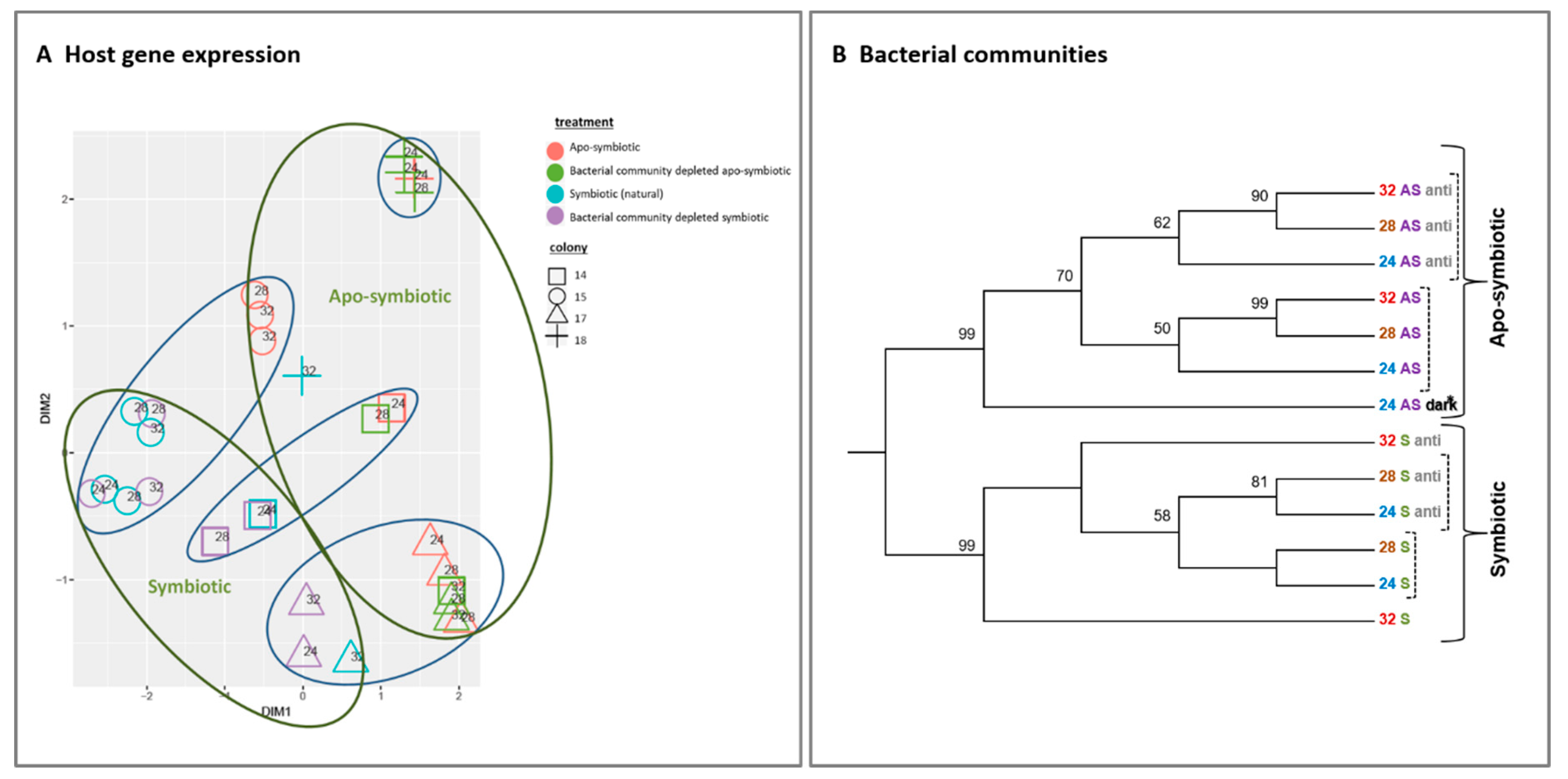 Microorganisms 08 00372 g002