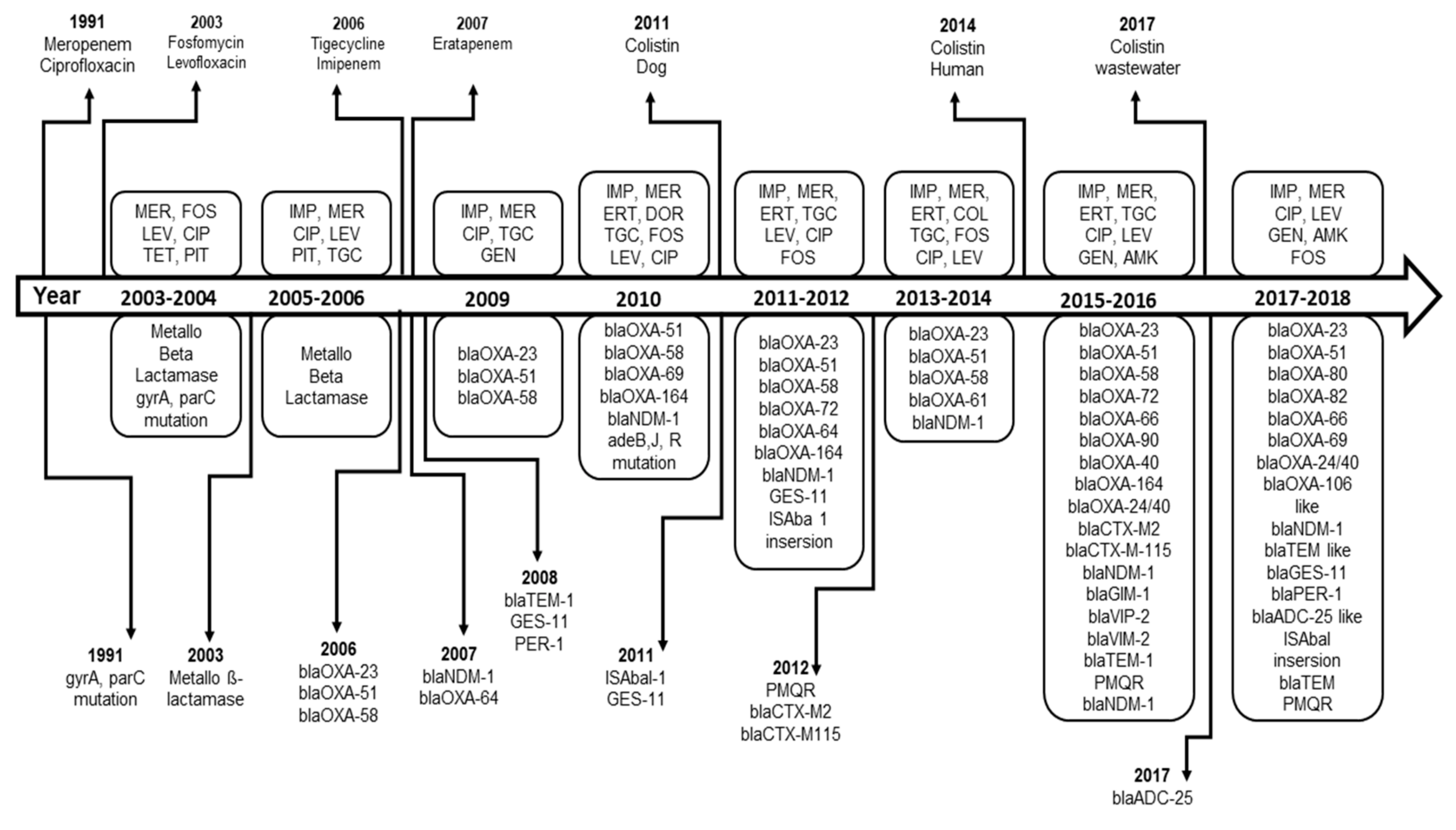 Microorganisms 08 00375 g003