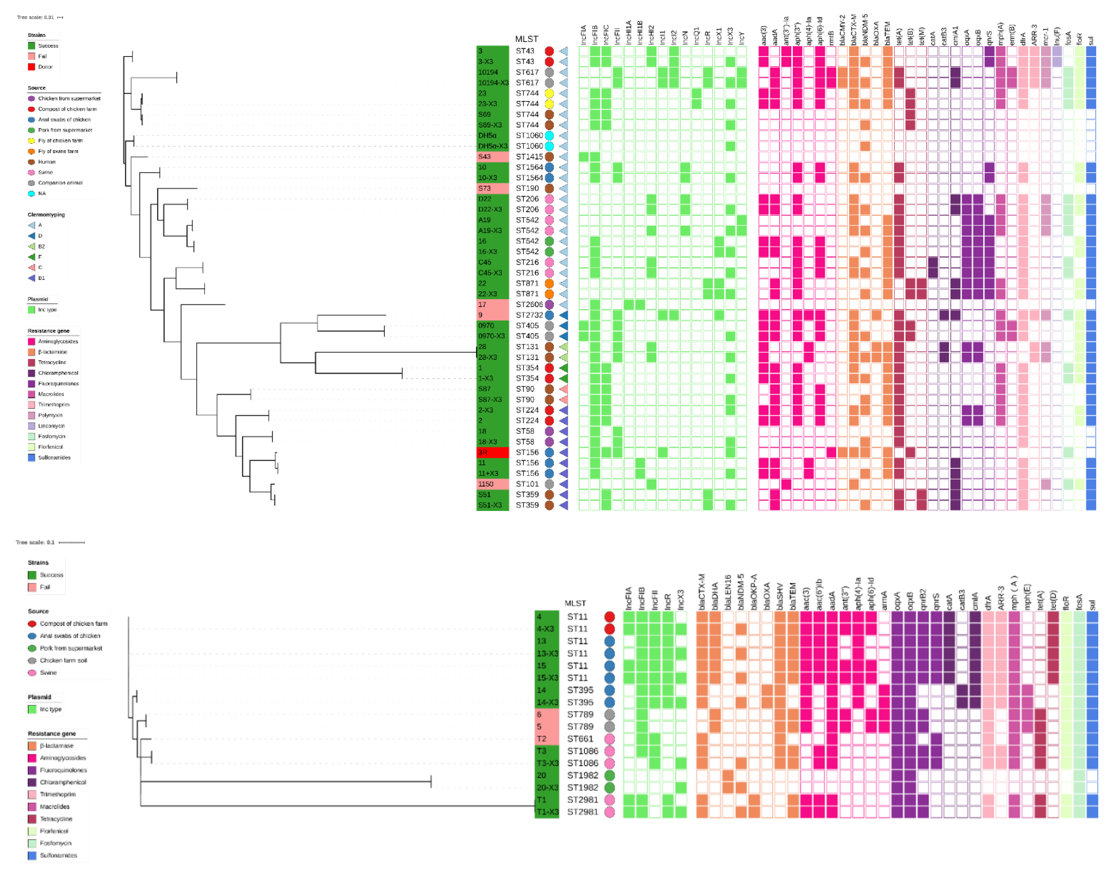 Microorganisms 08 00377 g002