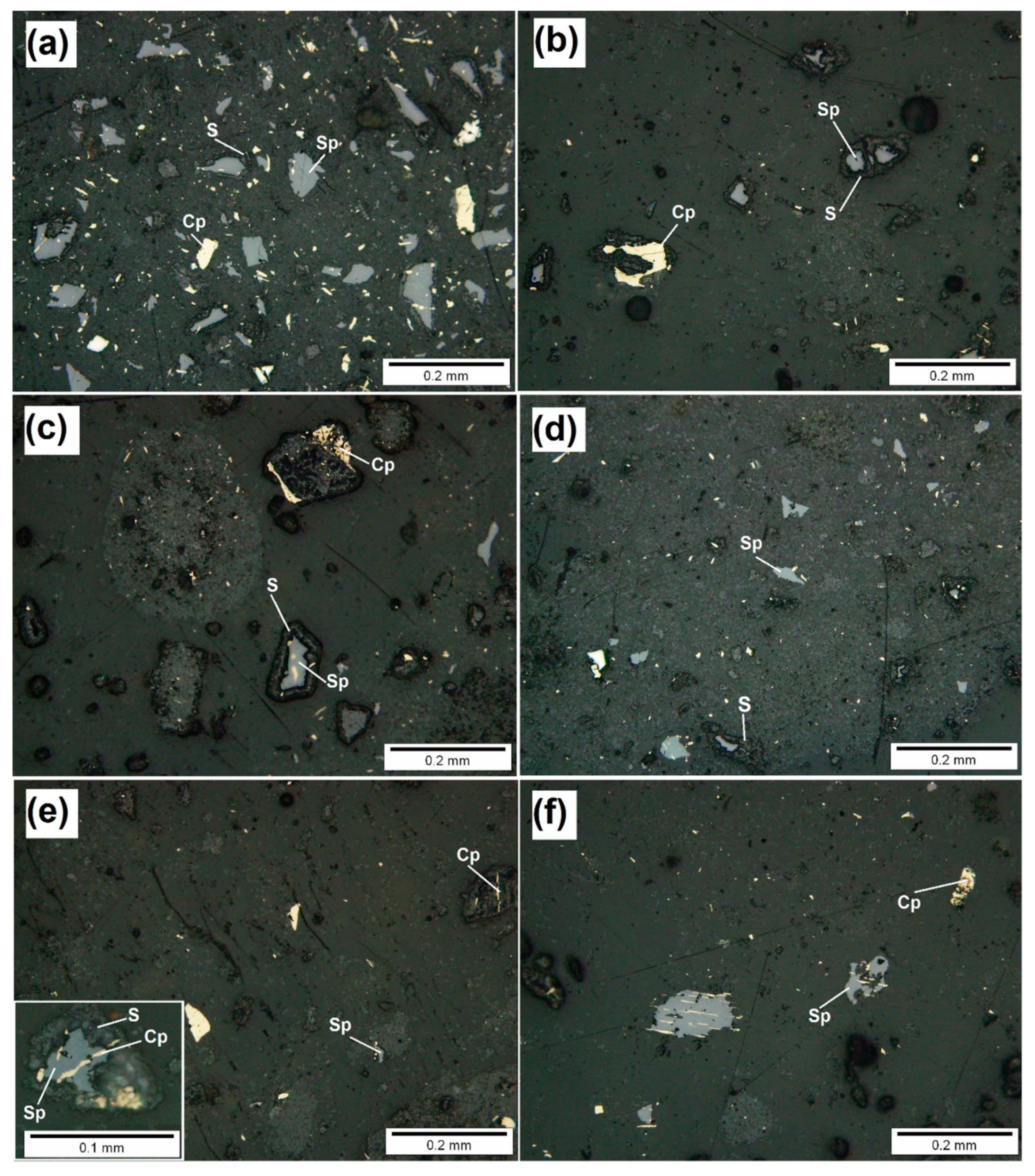 Microorganisms 08 00386 g005 Microorganisms 08 00386 g005