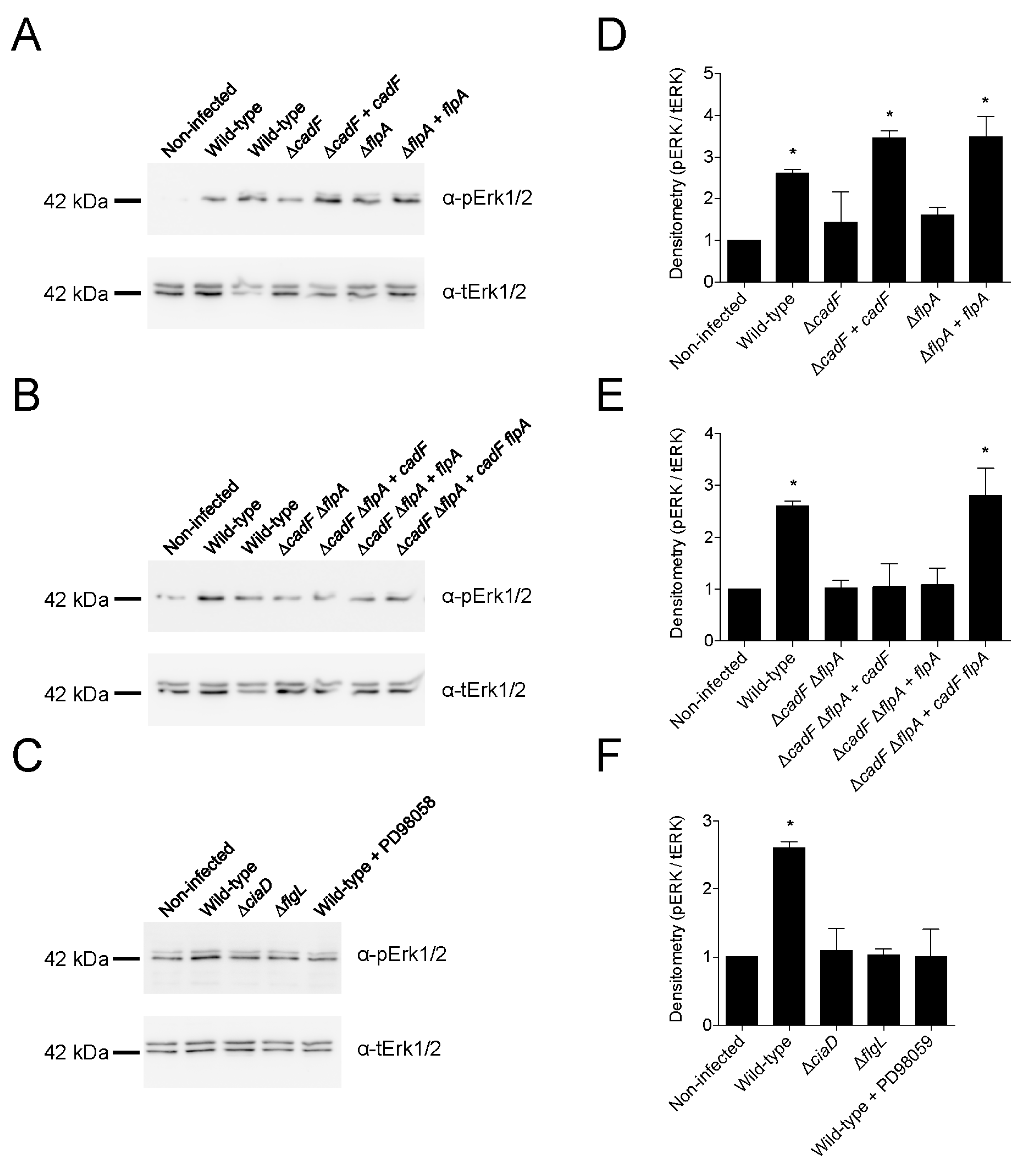 Microorganisms 08 00389 g008