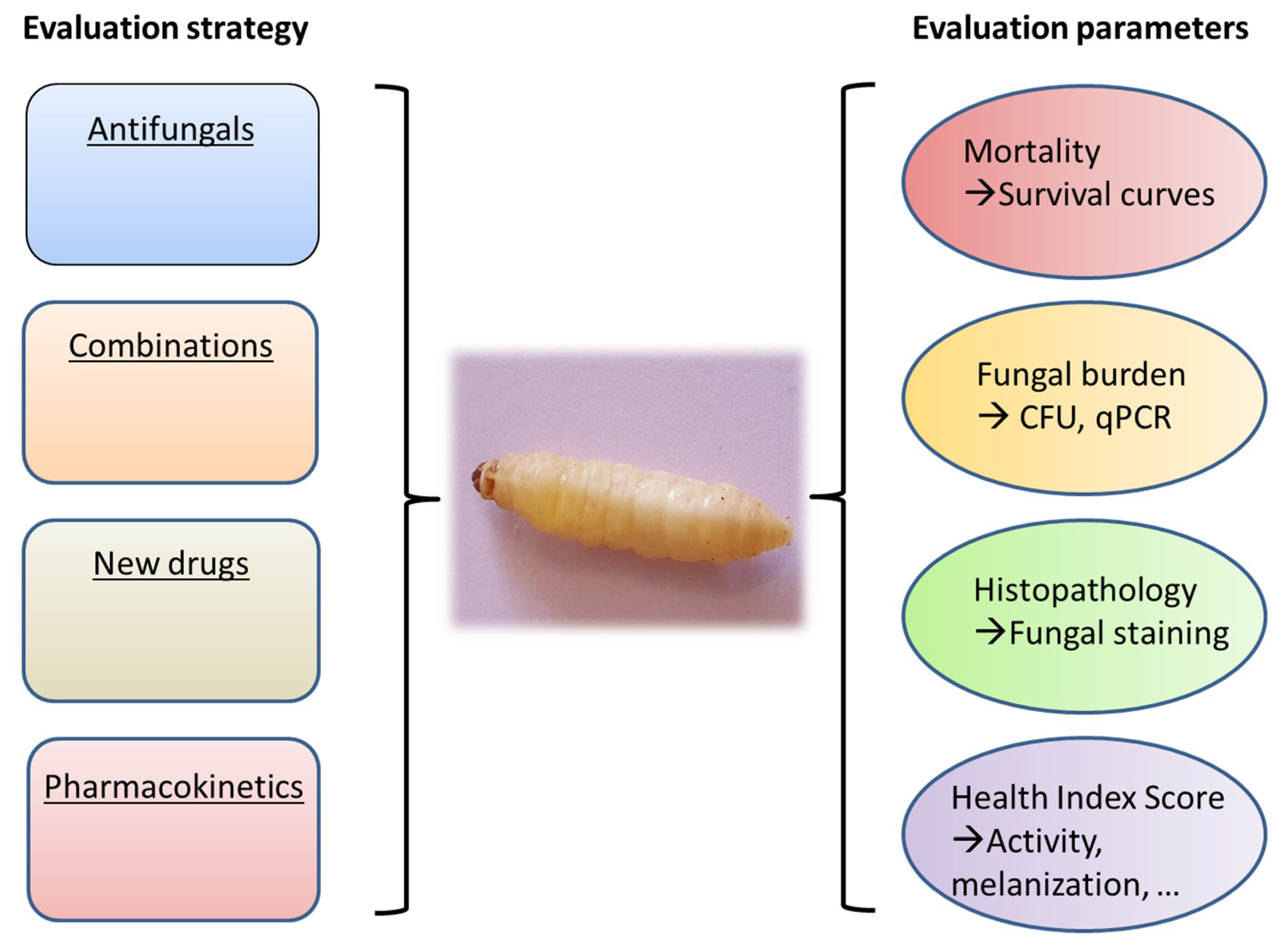 Microorganisms 08 00390 g001 Microorganisms 08 00390 g001