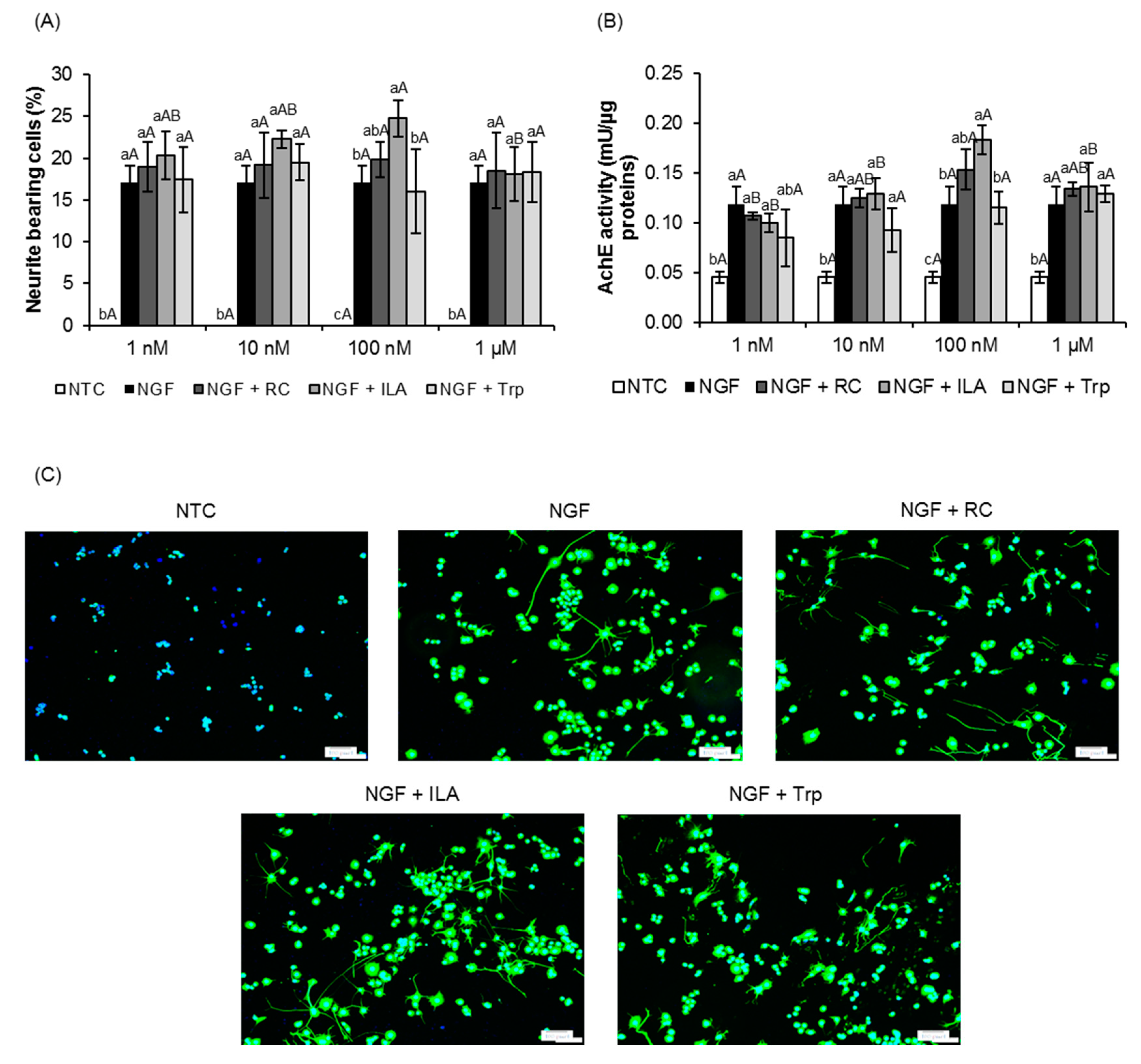 Microorganisms 08 00398 g001