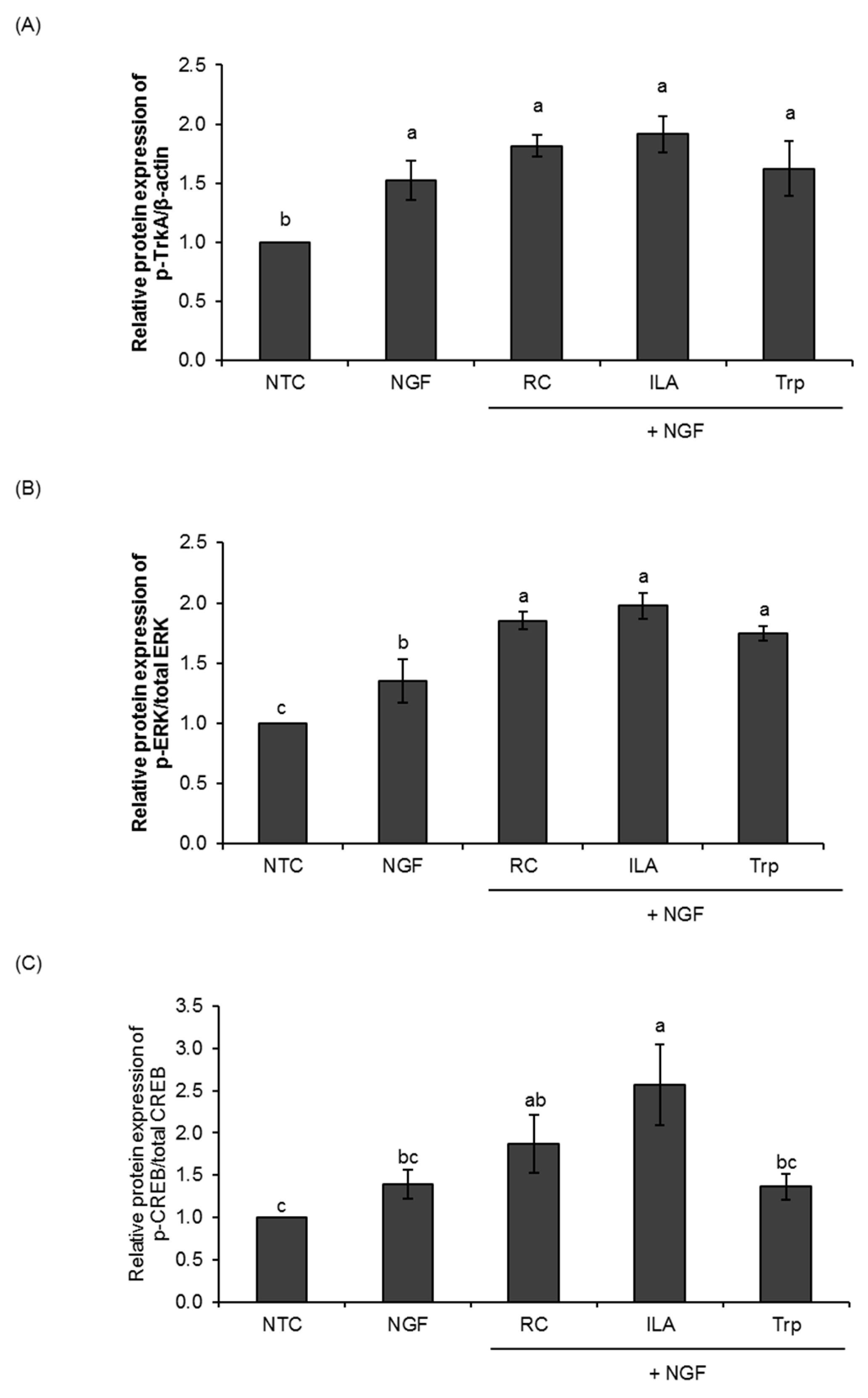 Microorganisms 08 00398 g002