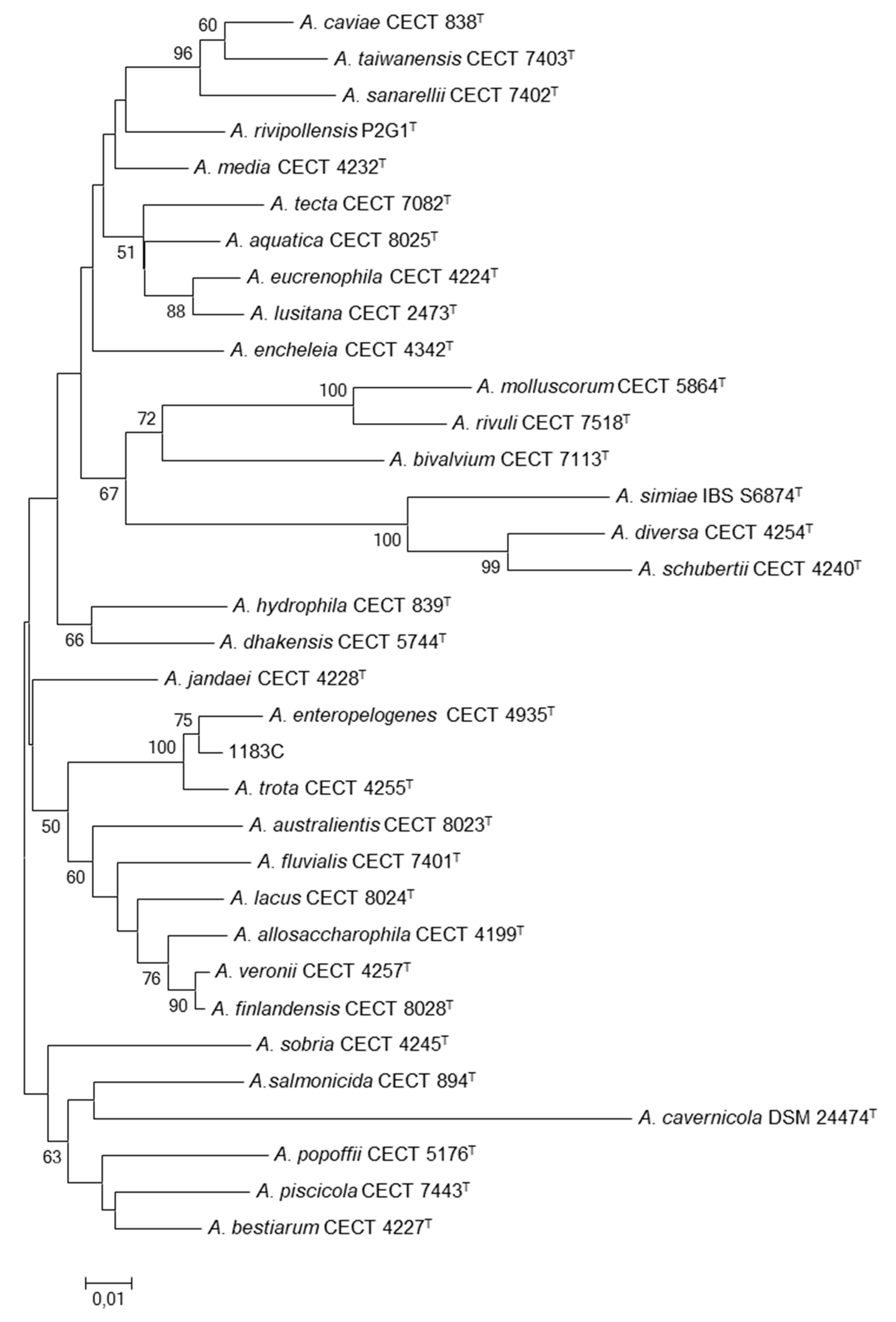 Microorganisms 08 00399 g001 Microorganisms 08 00399 g001