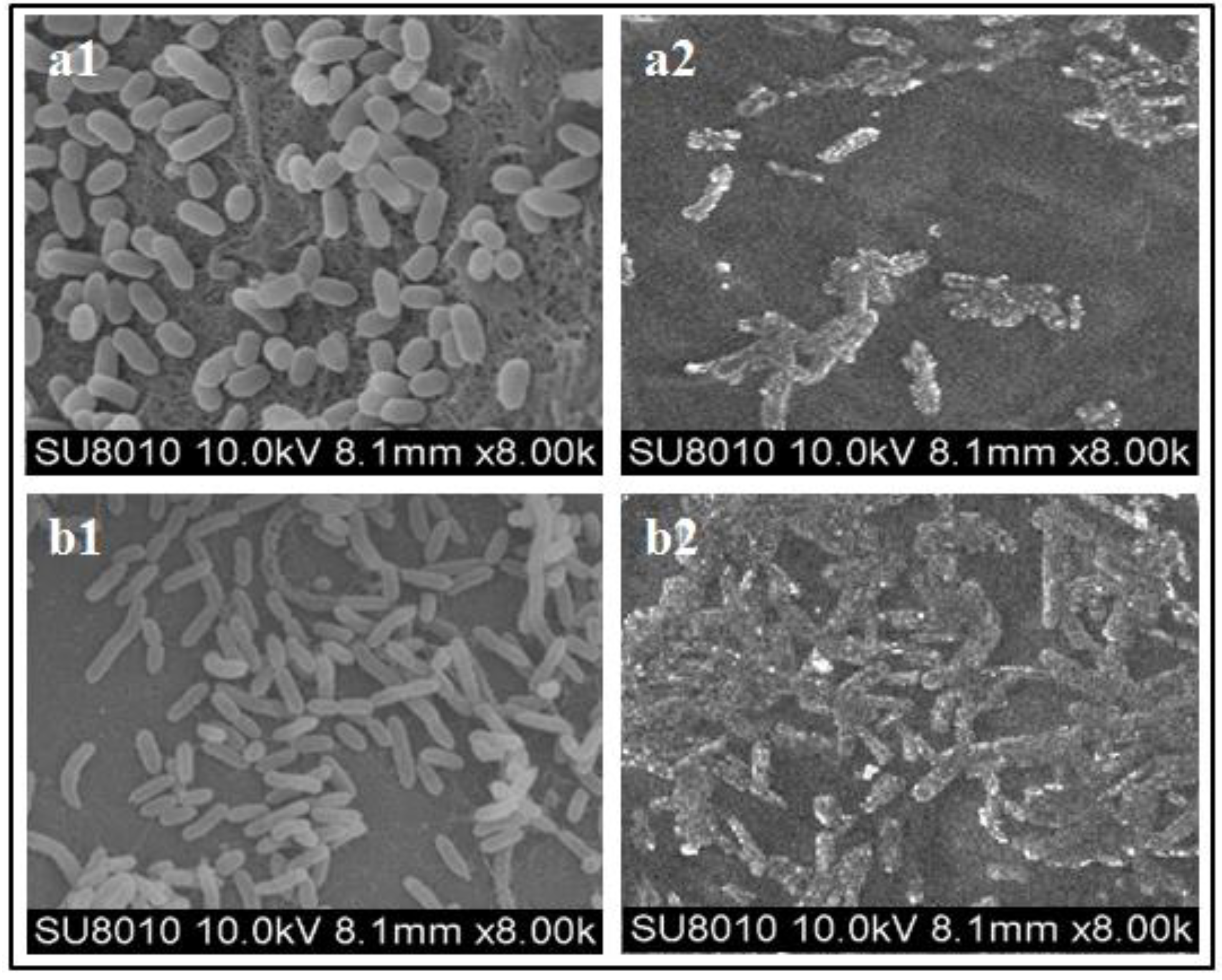 Microorganisms 08 00401 g003