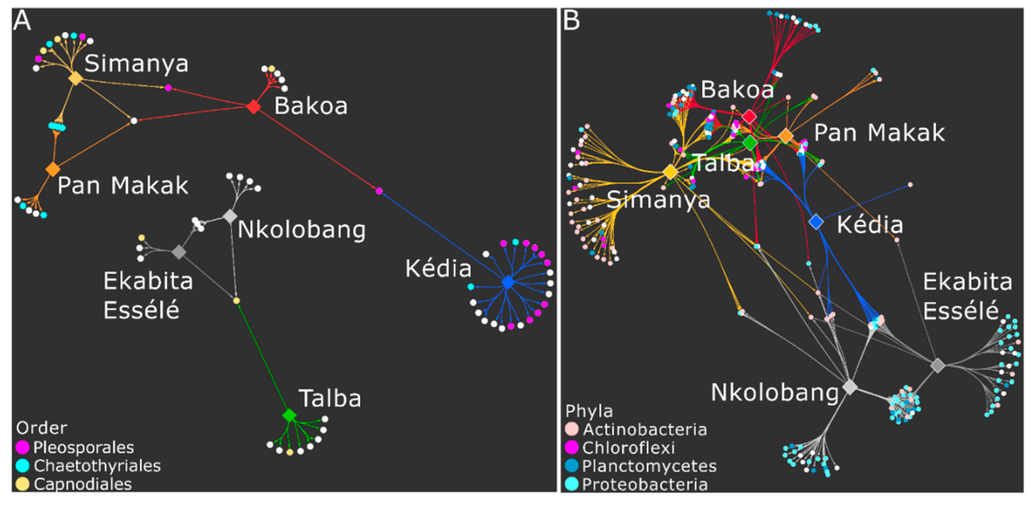 Microorganisms 08 00405 g005
