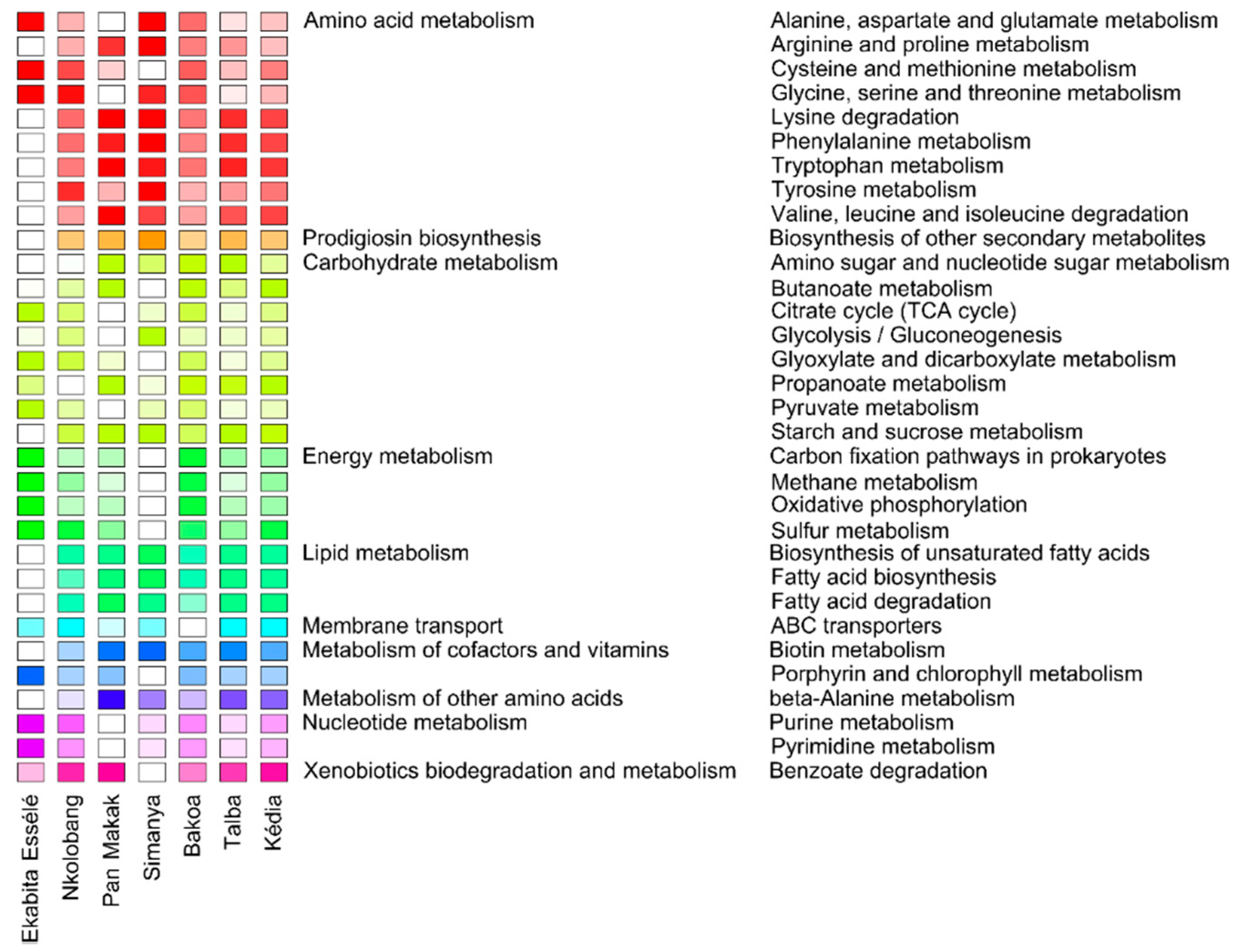 Microorganisms 08 00405 g007
